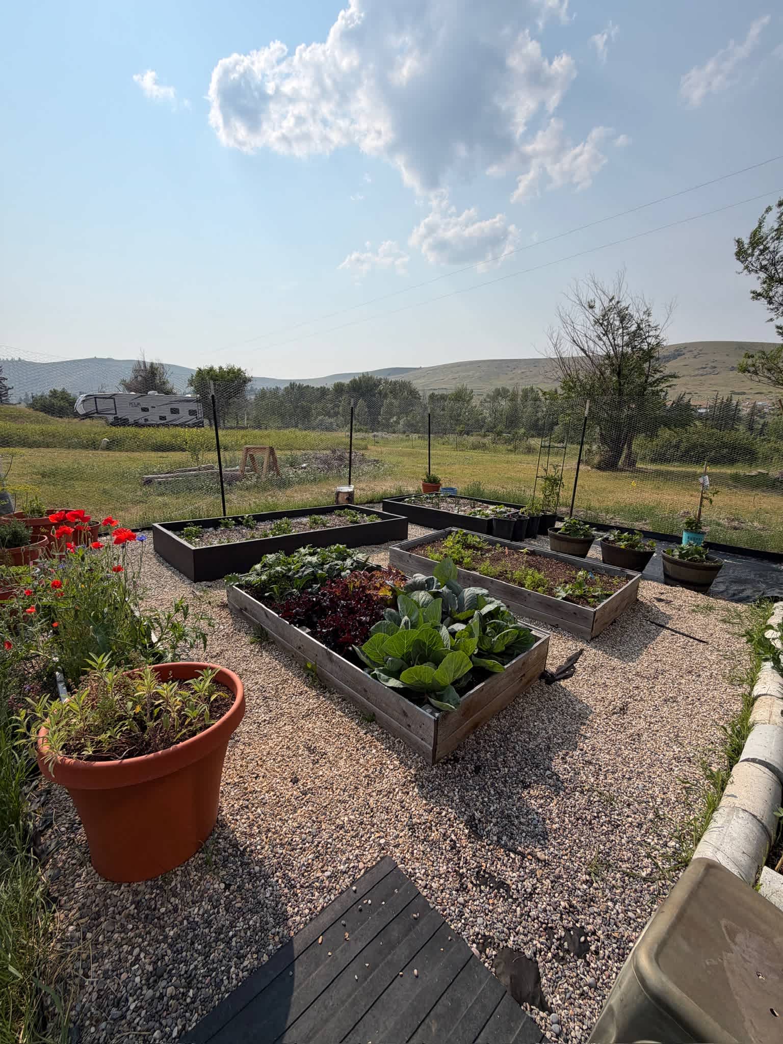 Picture of the site