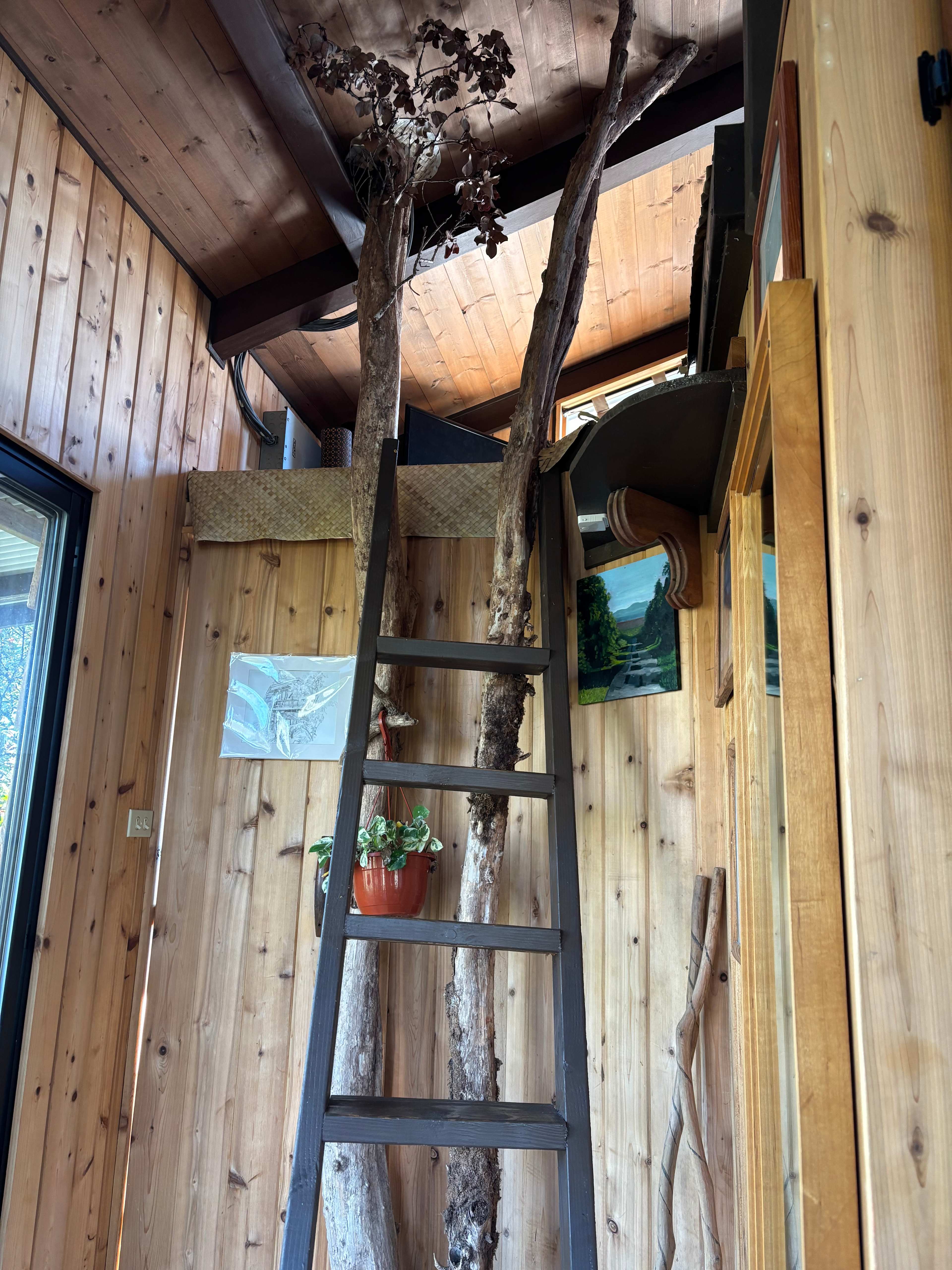 Skyes Treehouses