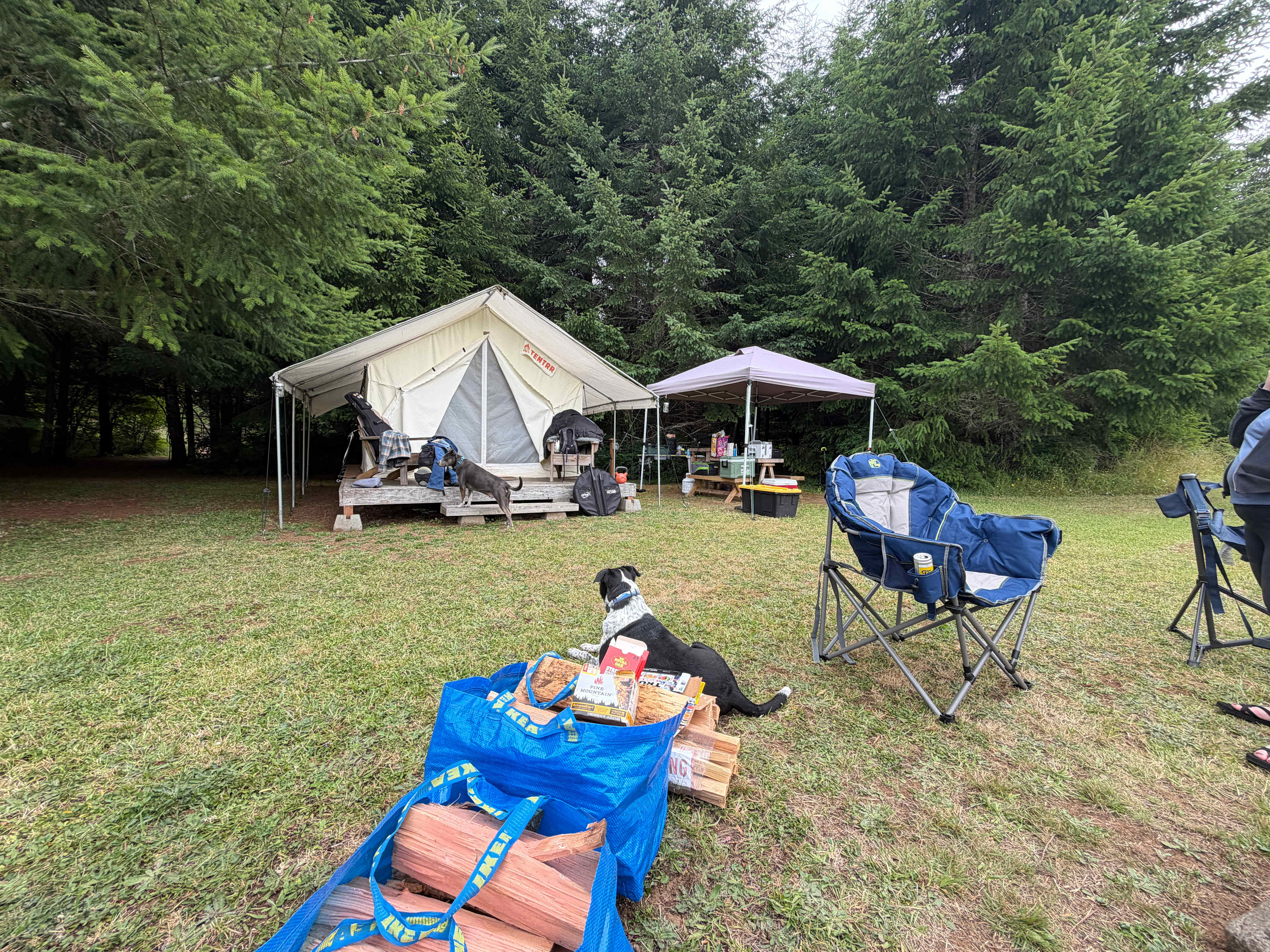 Glamping In The Wild