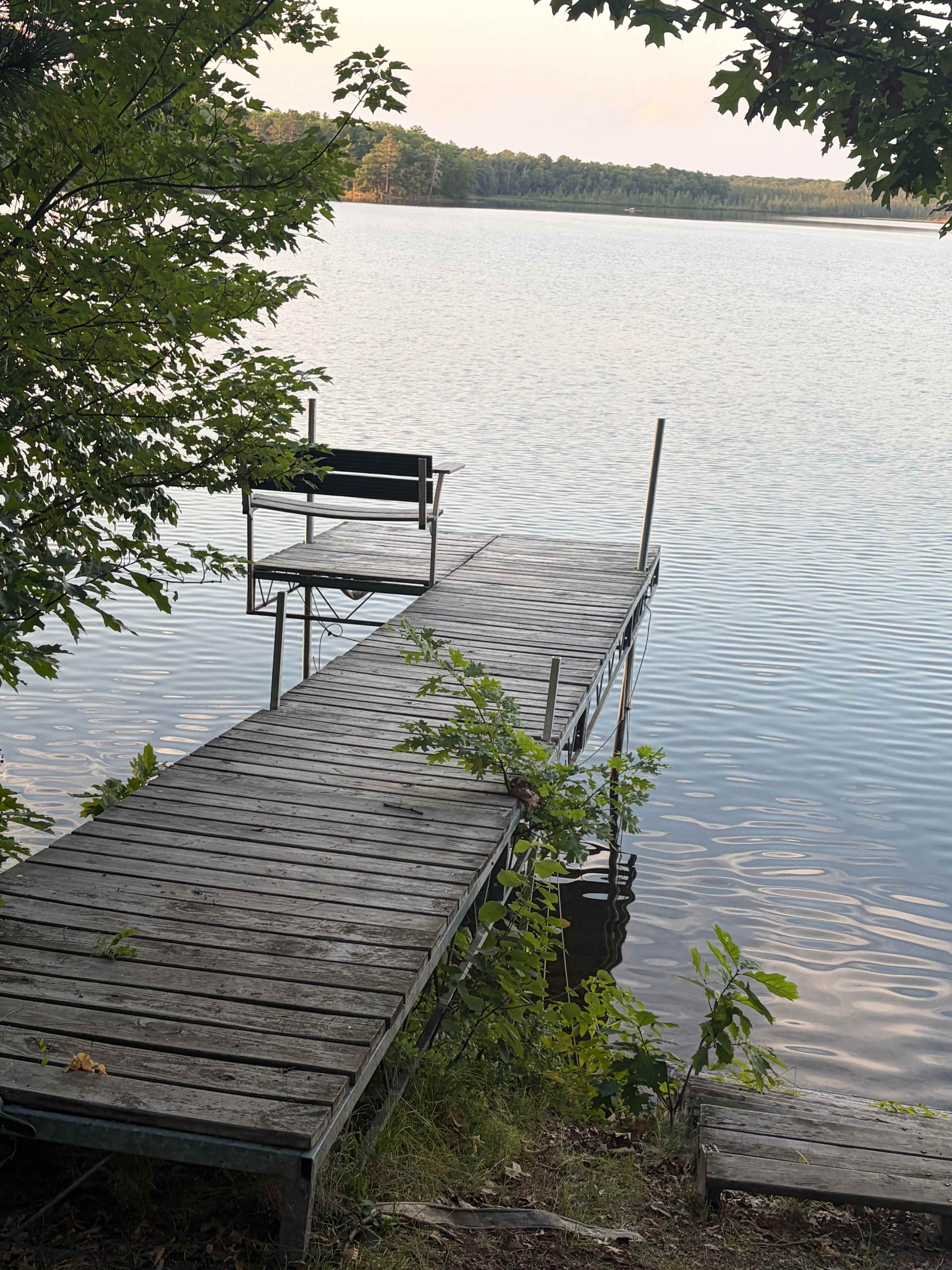 Wise Woods on Fool Lake