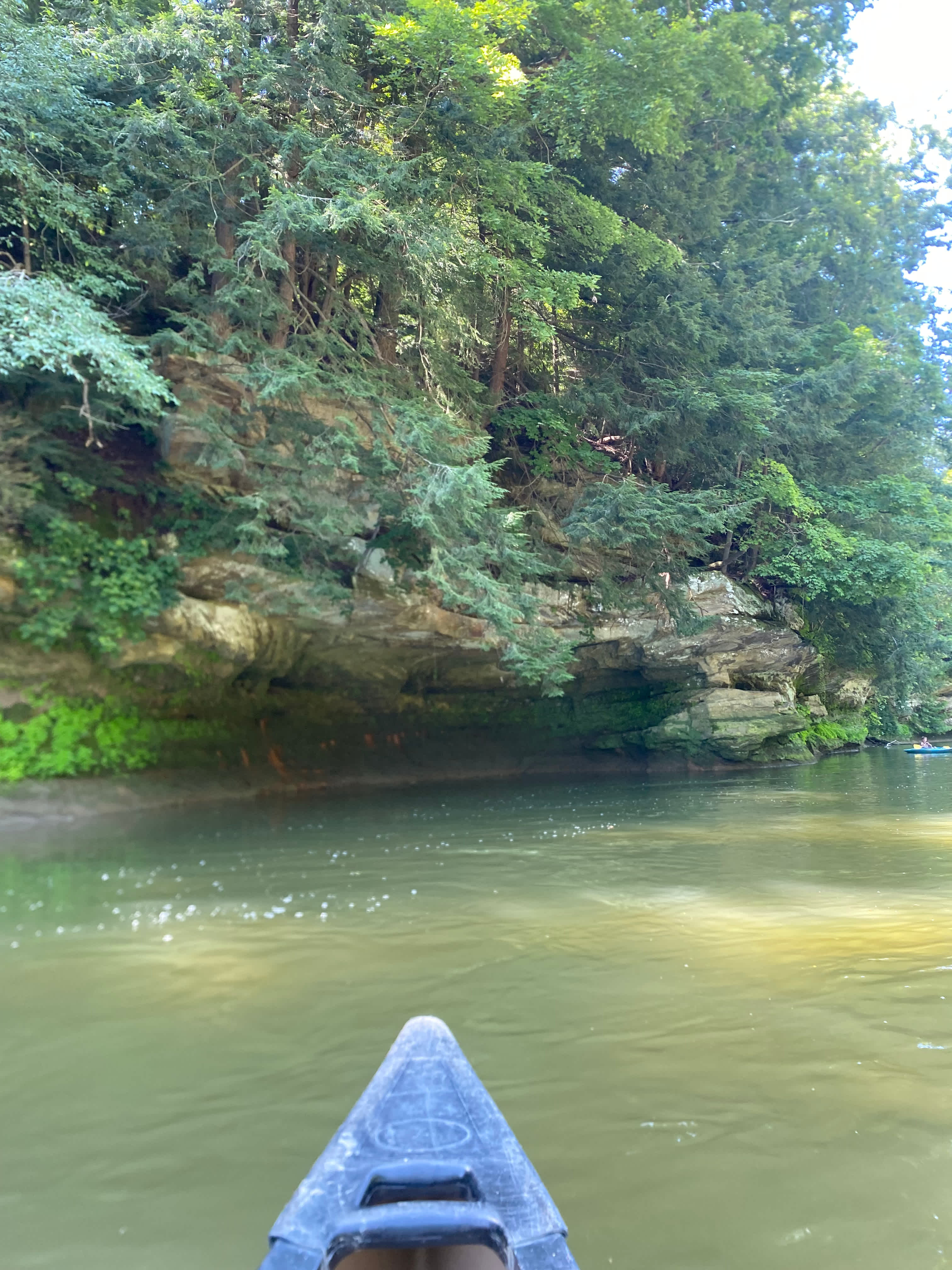 We spent the morning canoeing on Sugar Creek.