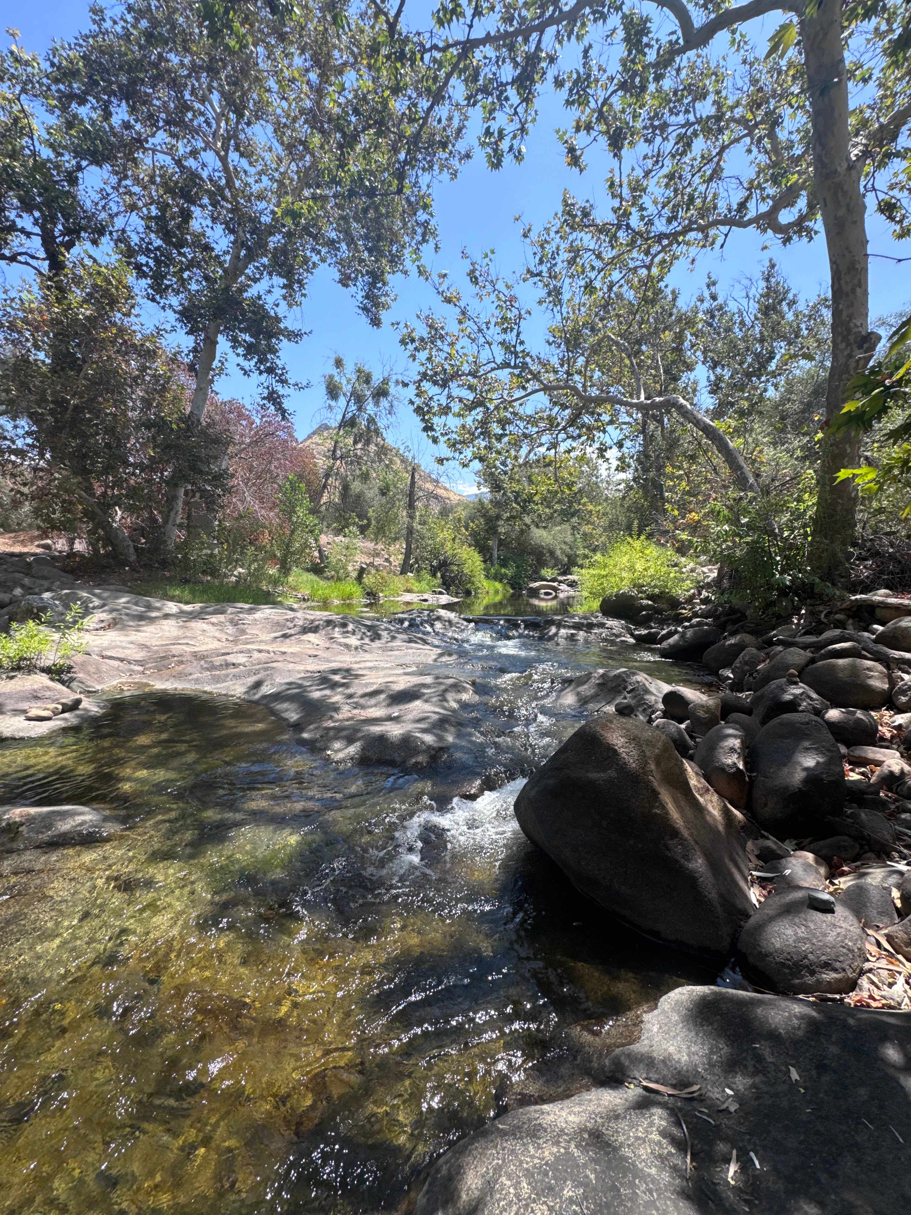 river view
