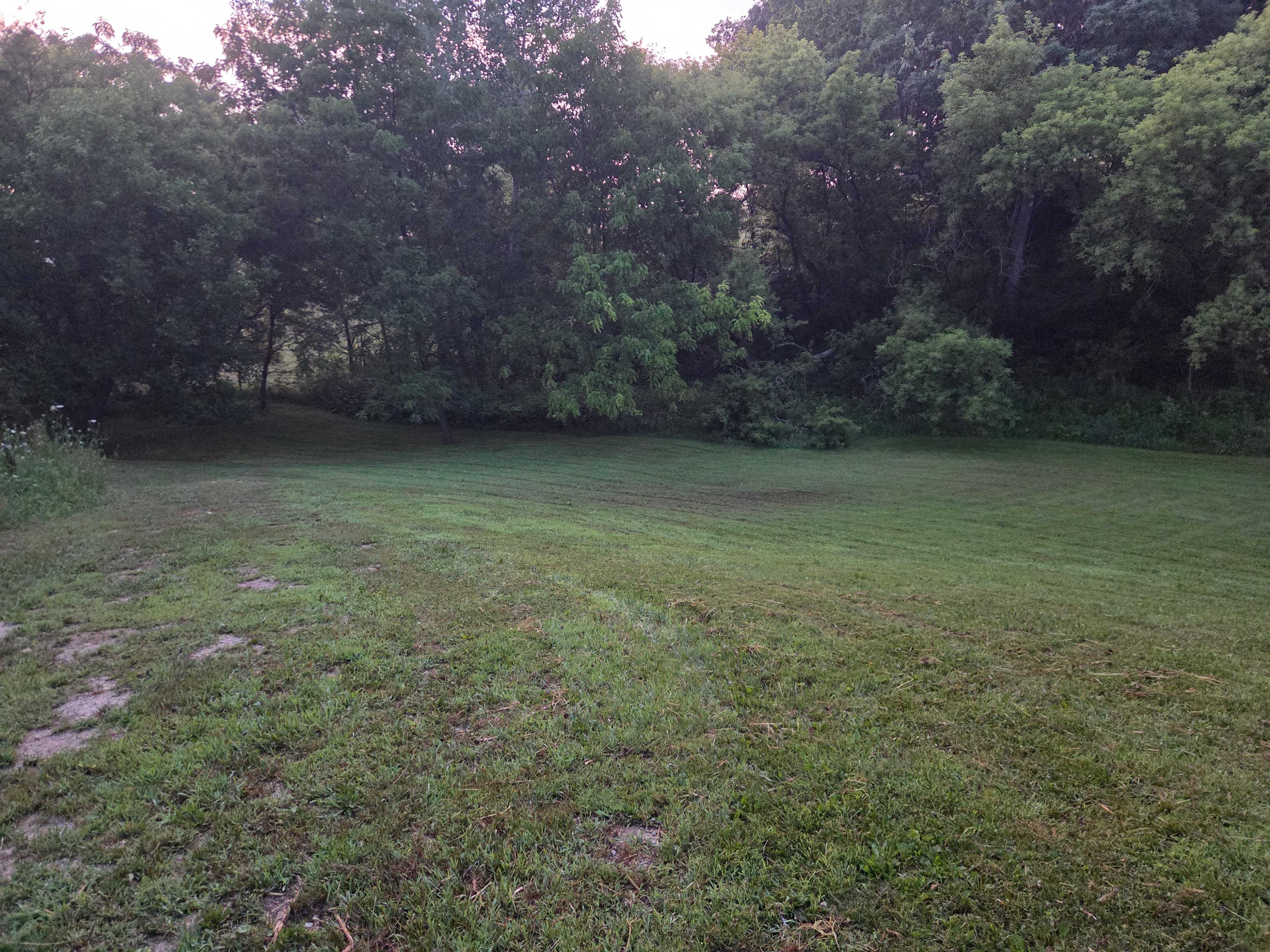 Springer Farm