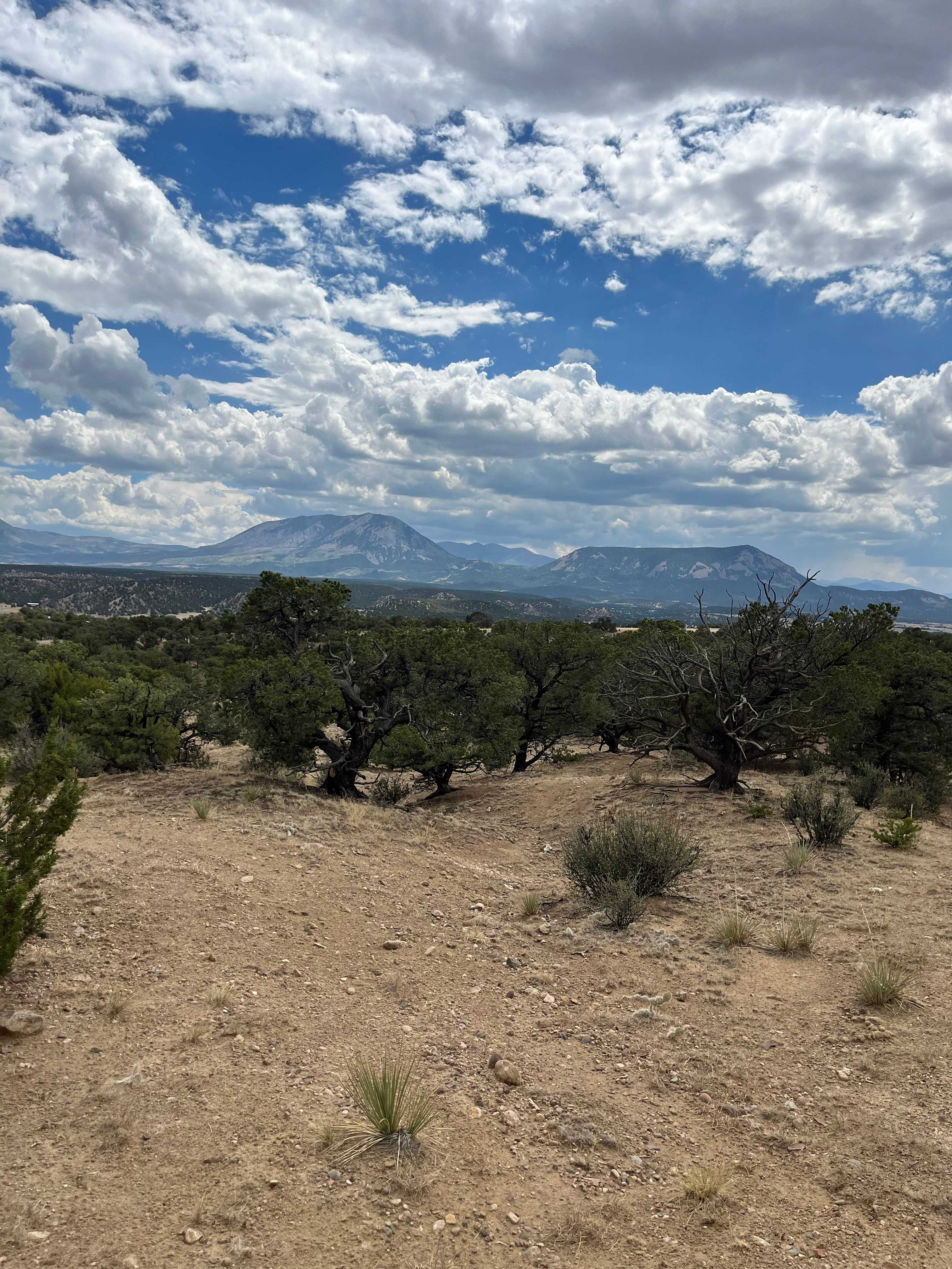 The Nomad Ranch