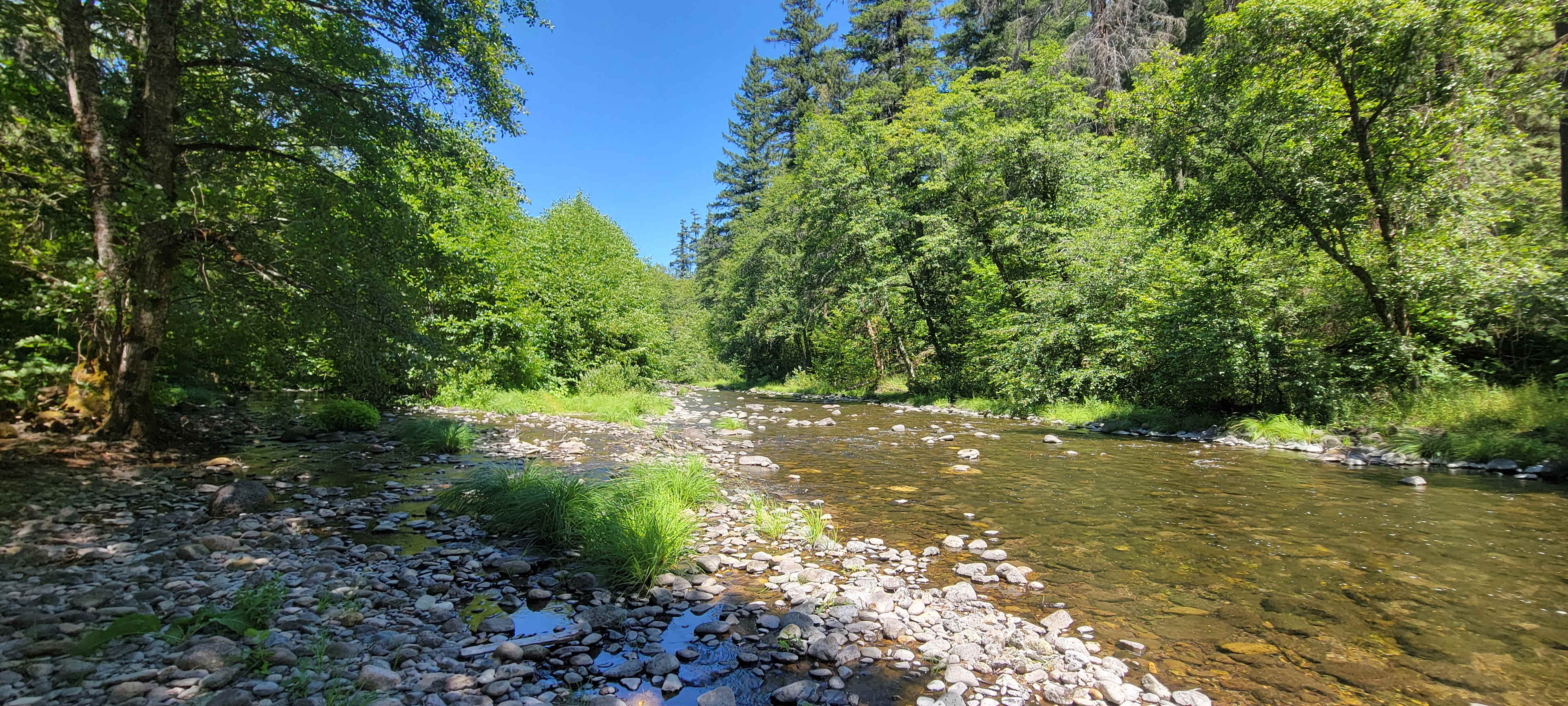Healing Waters