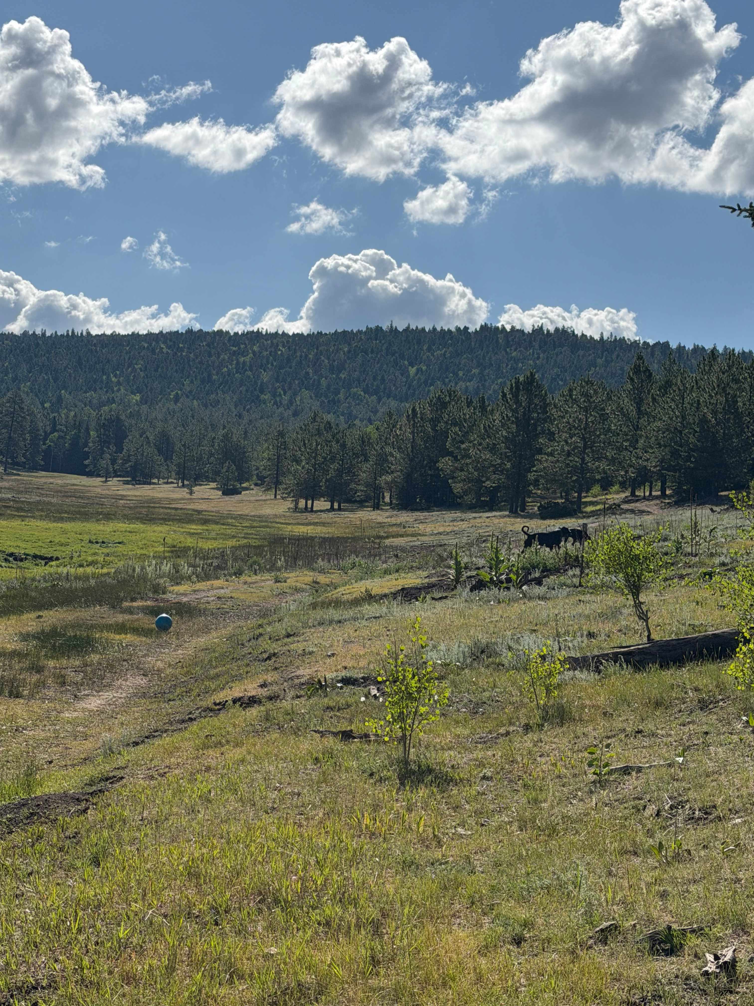Enchanted Circle Campground (E<<)