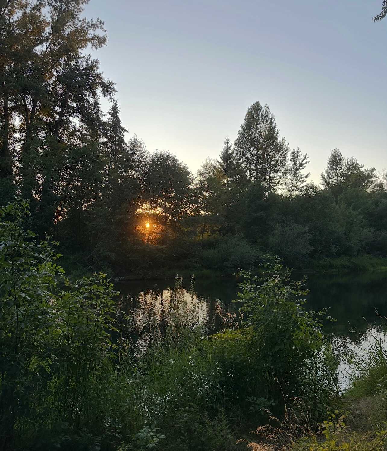 Molalla Ripple