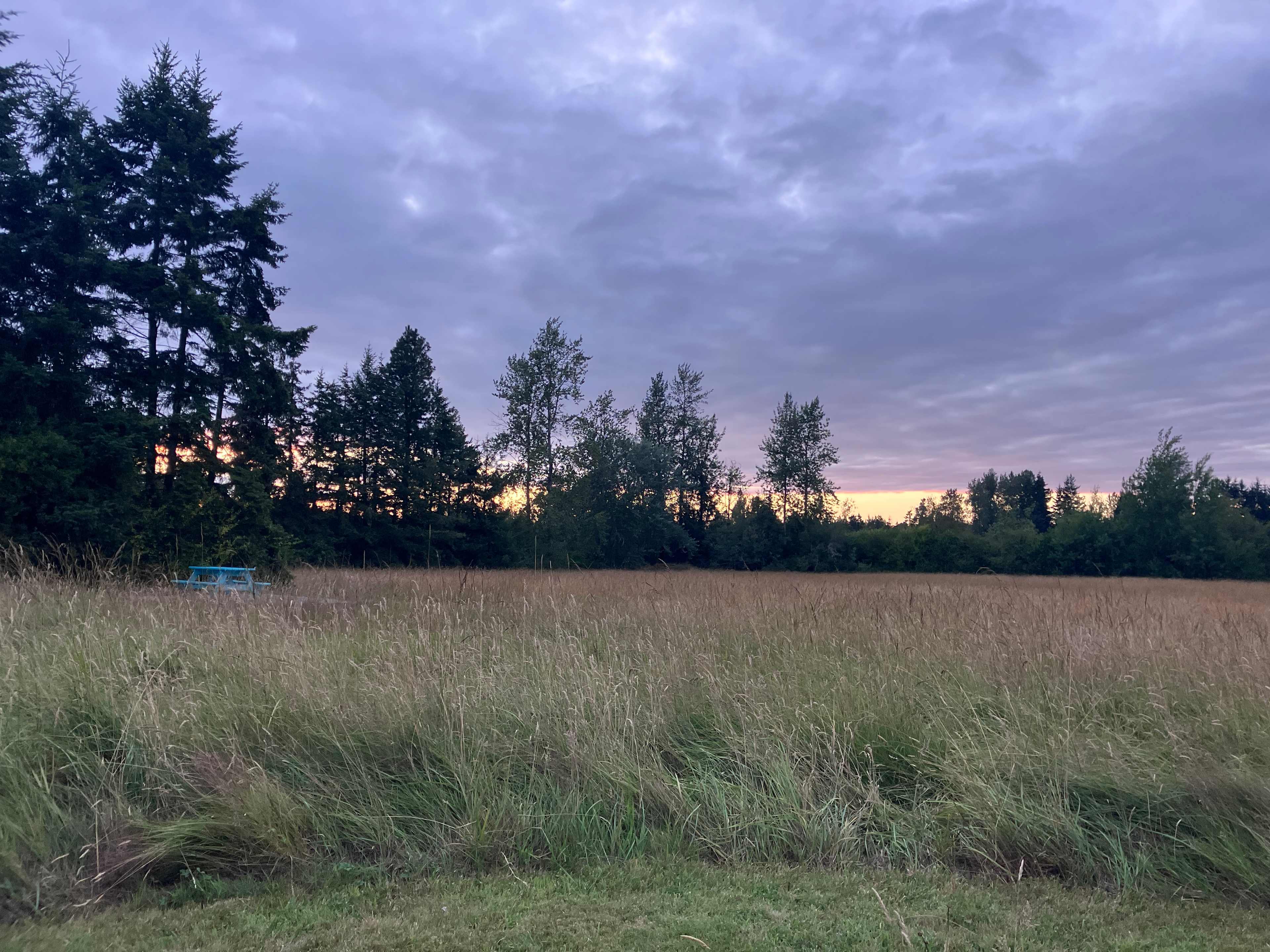 Coyote Meadow Basecamp