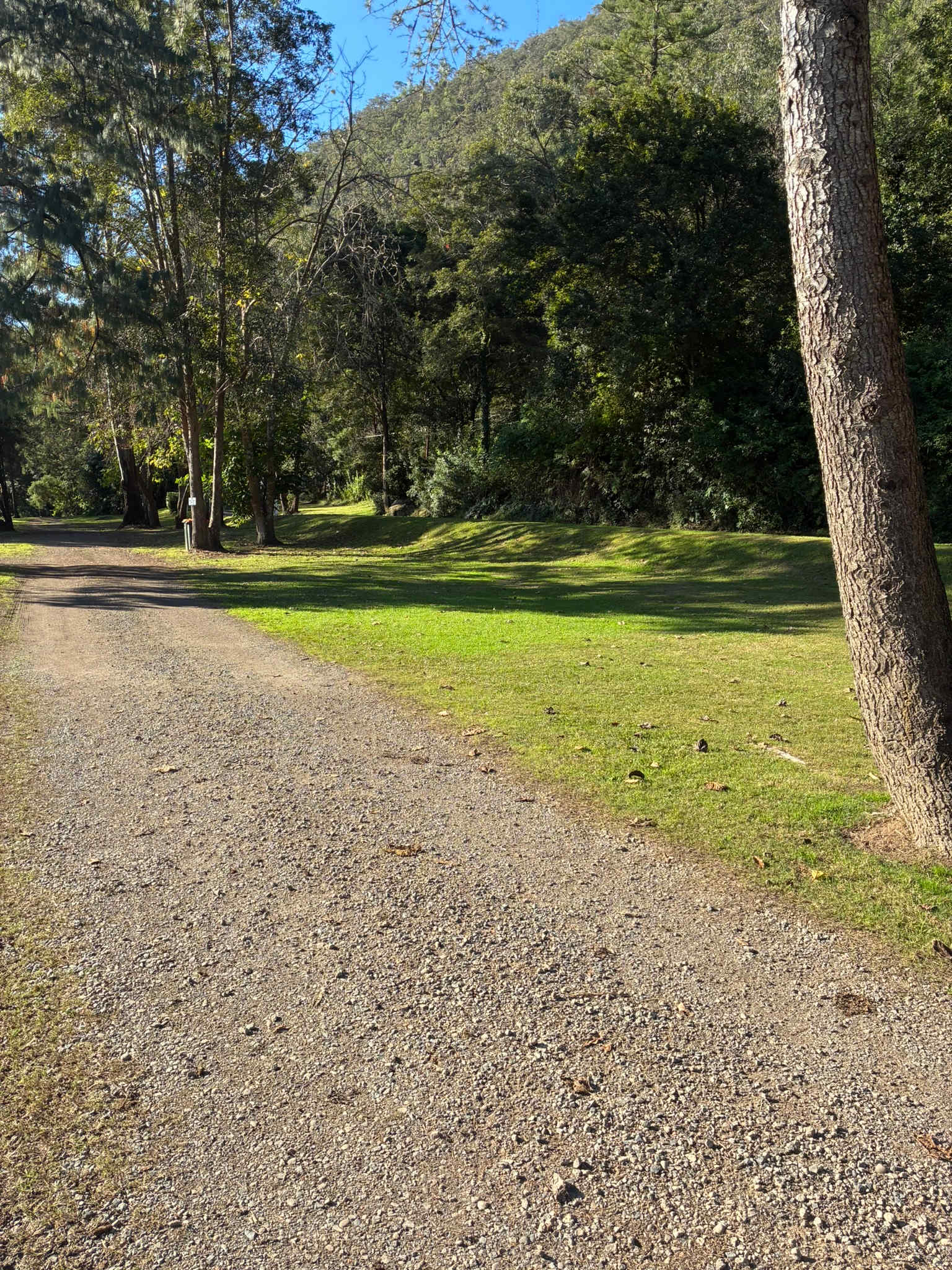 NSW Ski Gardens