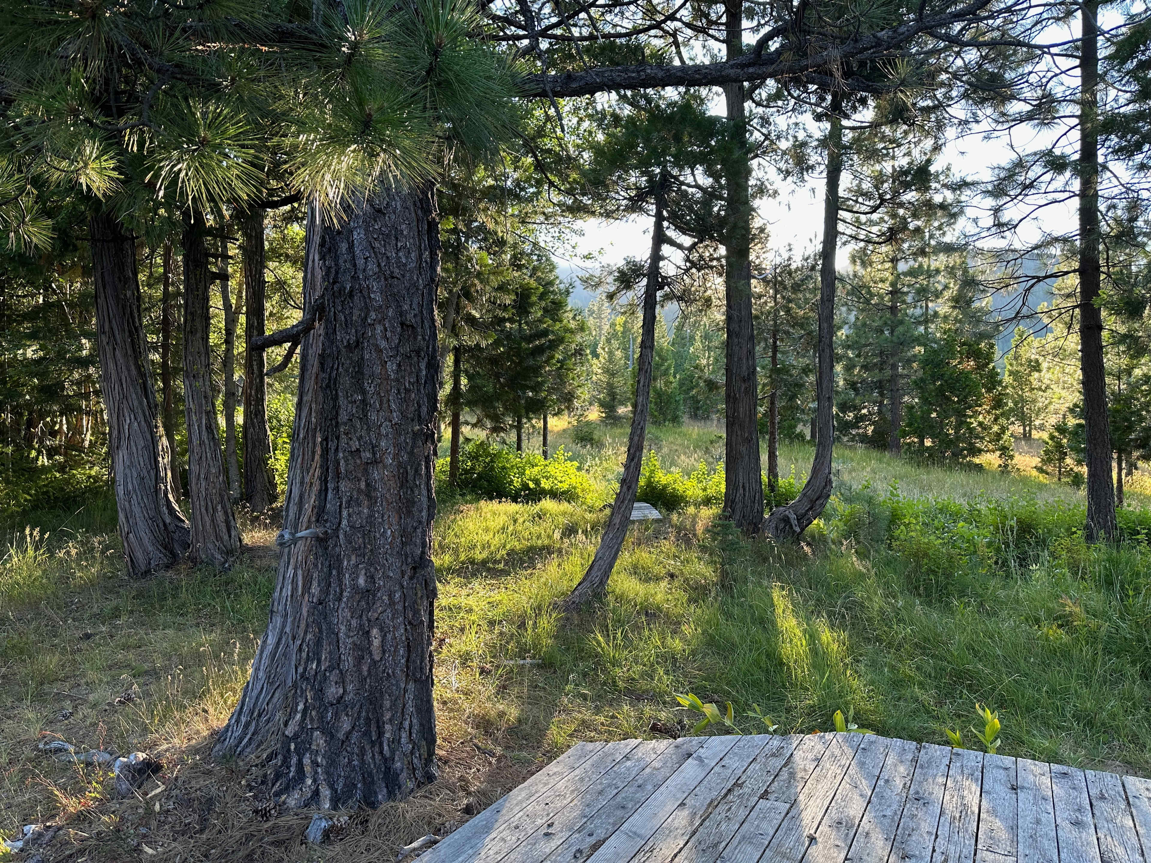 View from deck on Outdoor Kitchen