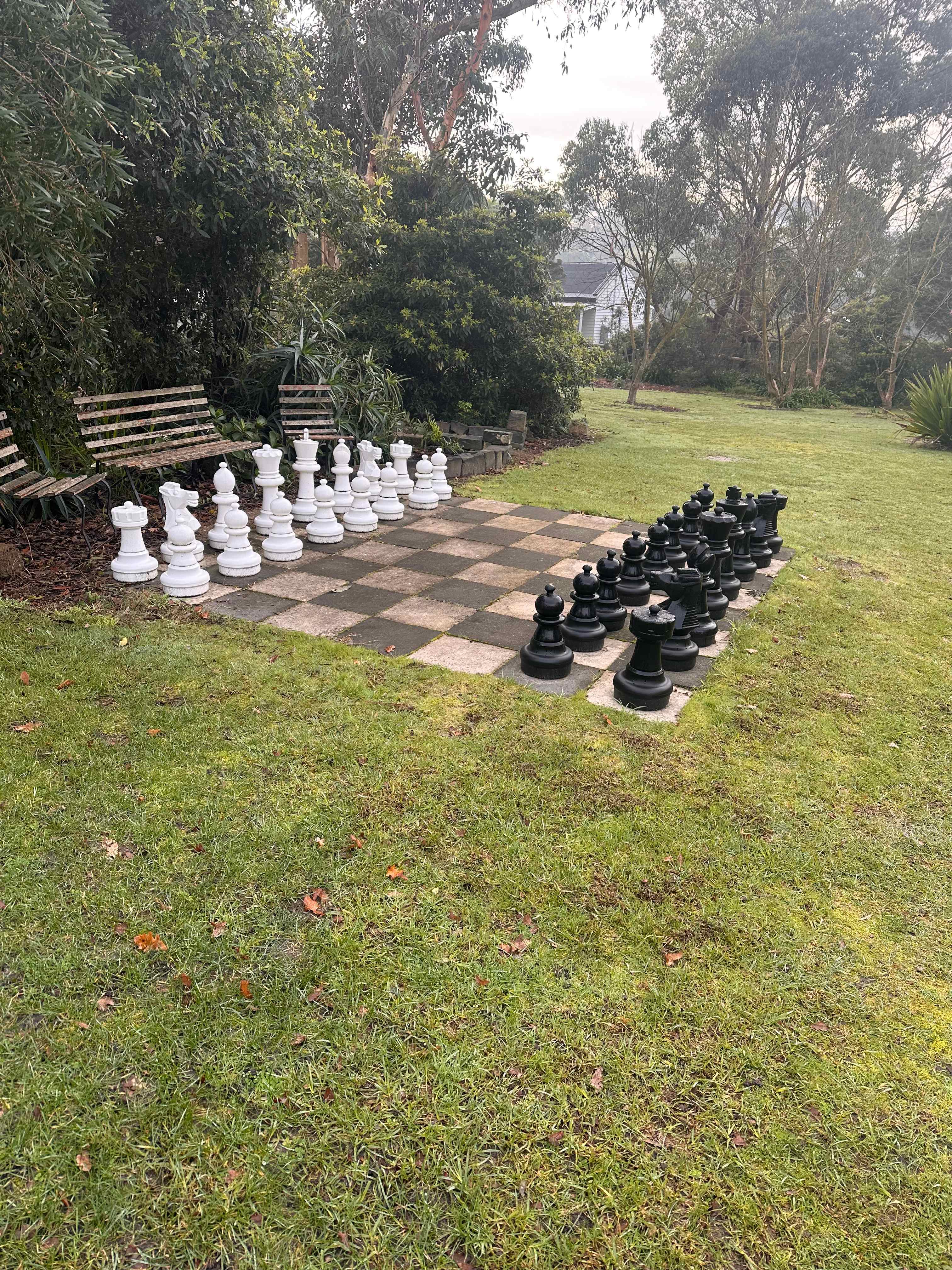 Anyone for Chess.