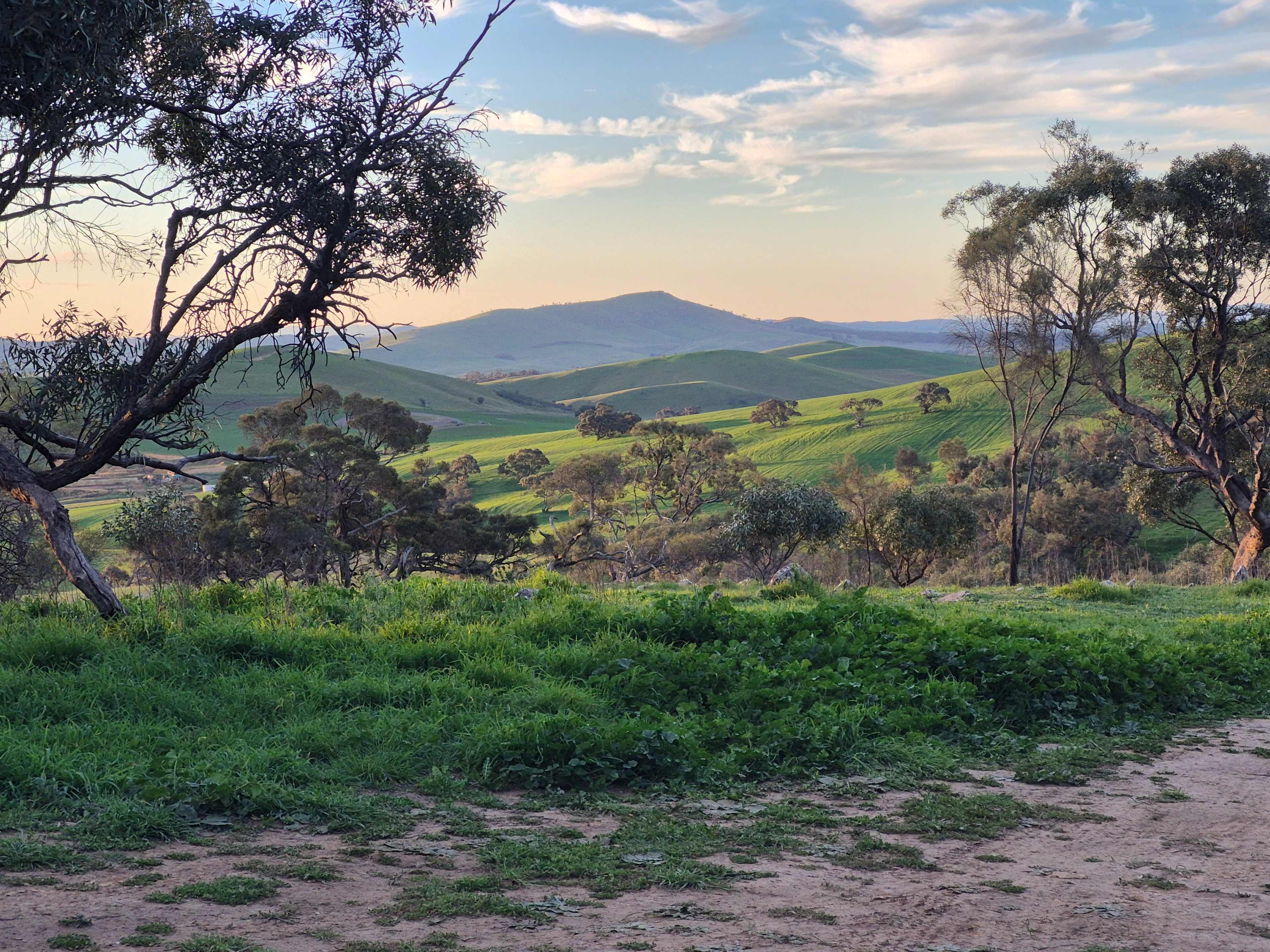 Heggies Hill Bush Camp