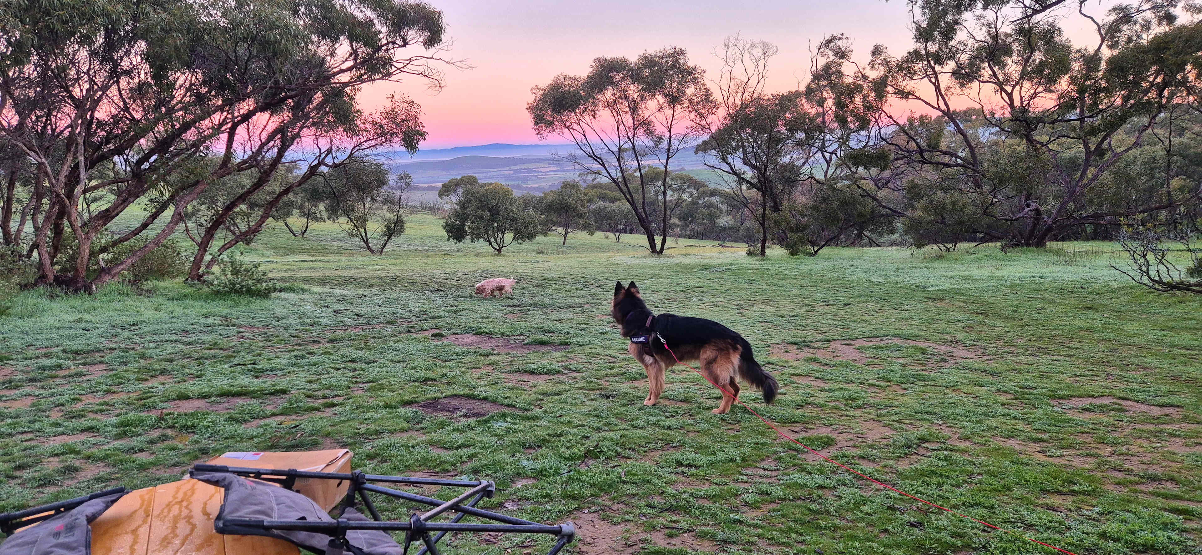 Heggies Hill Bush Camp