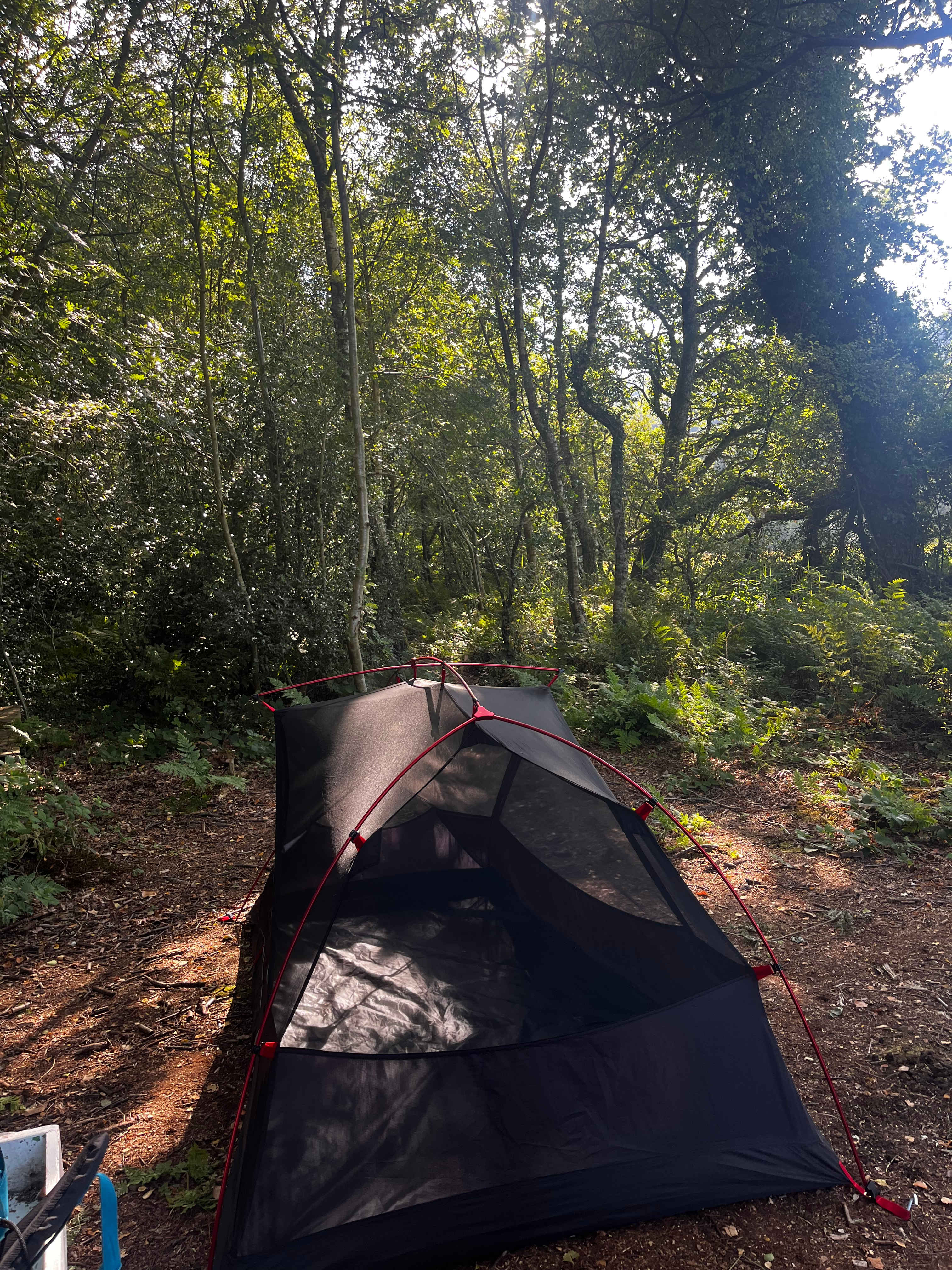 Secluded camp spot in the woods