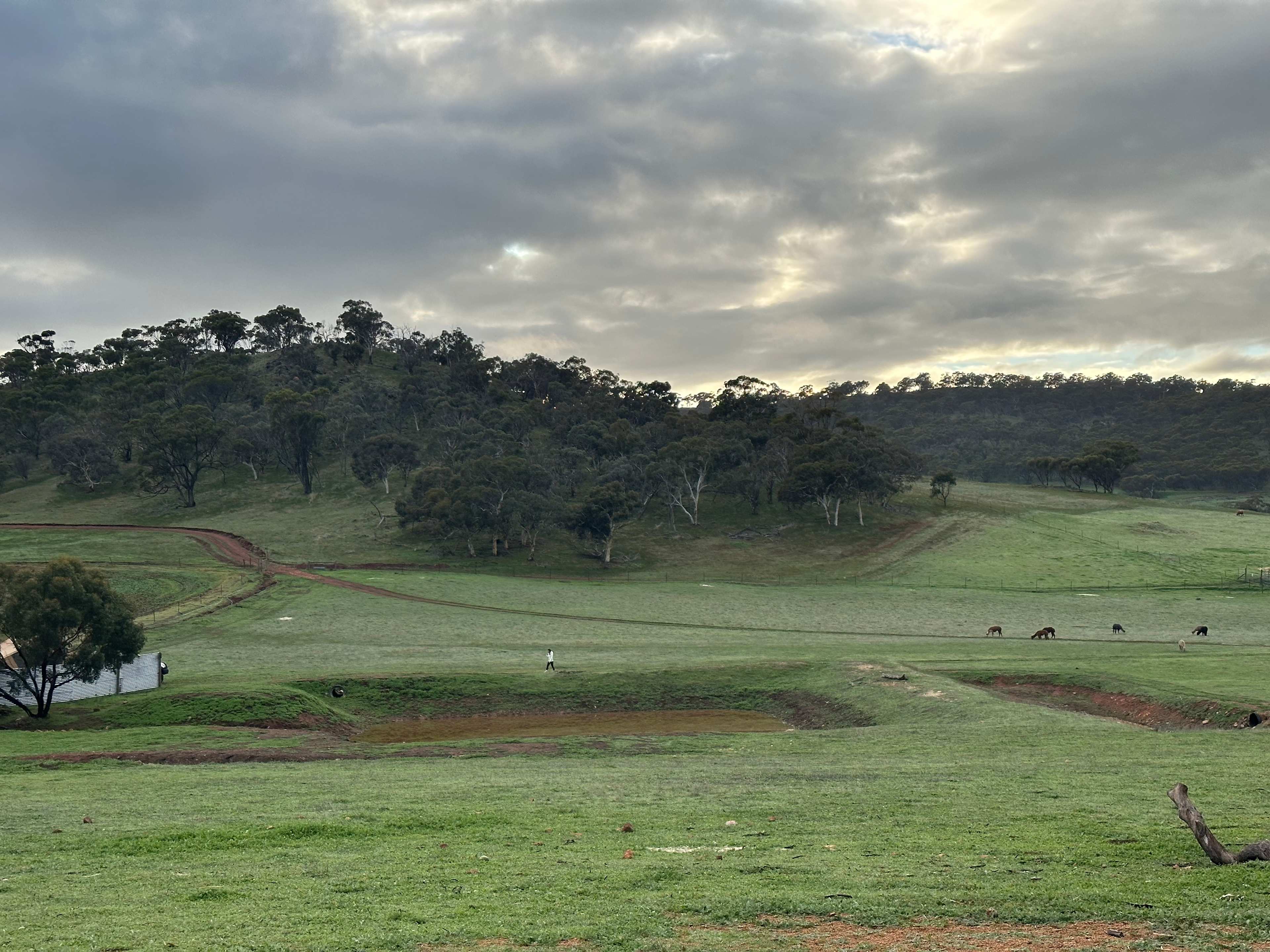 Sandalwood Downs  Farm Stay Toodyay