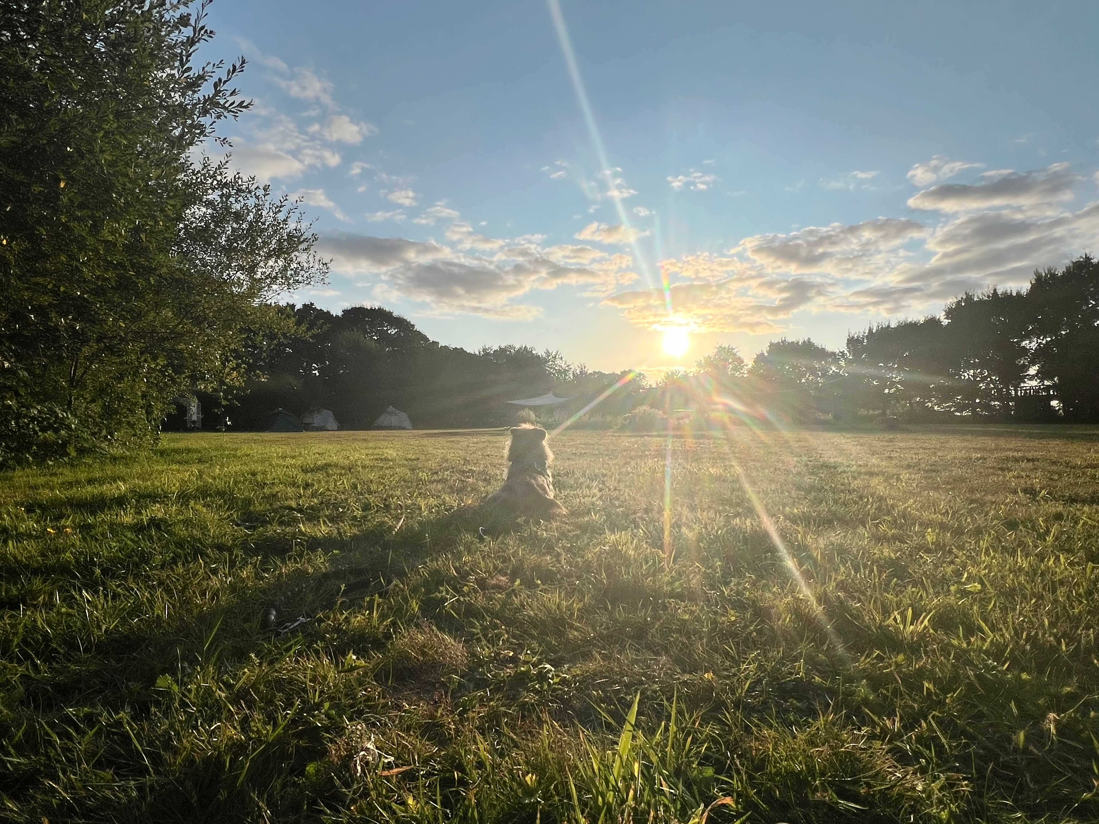 Sunset magic. 
