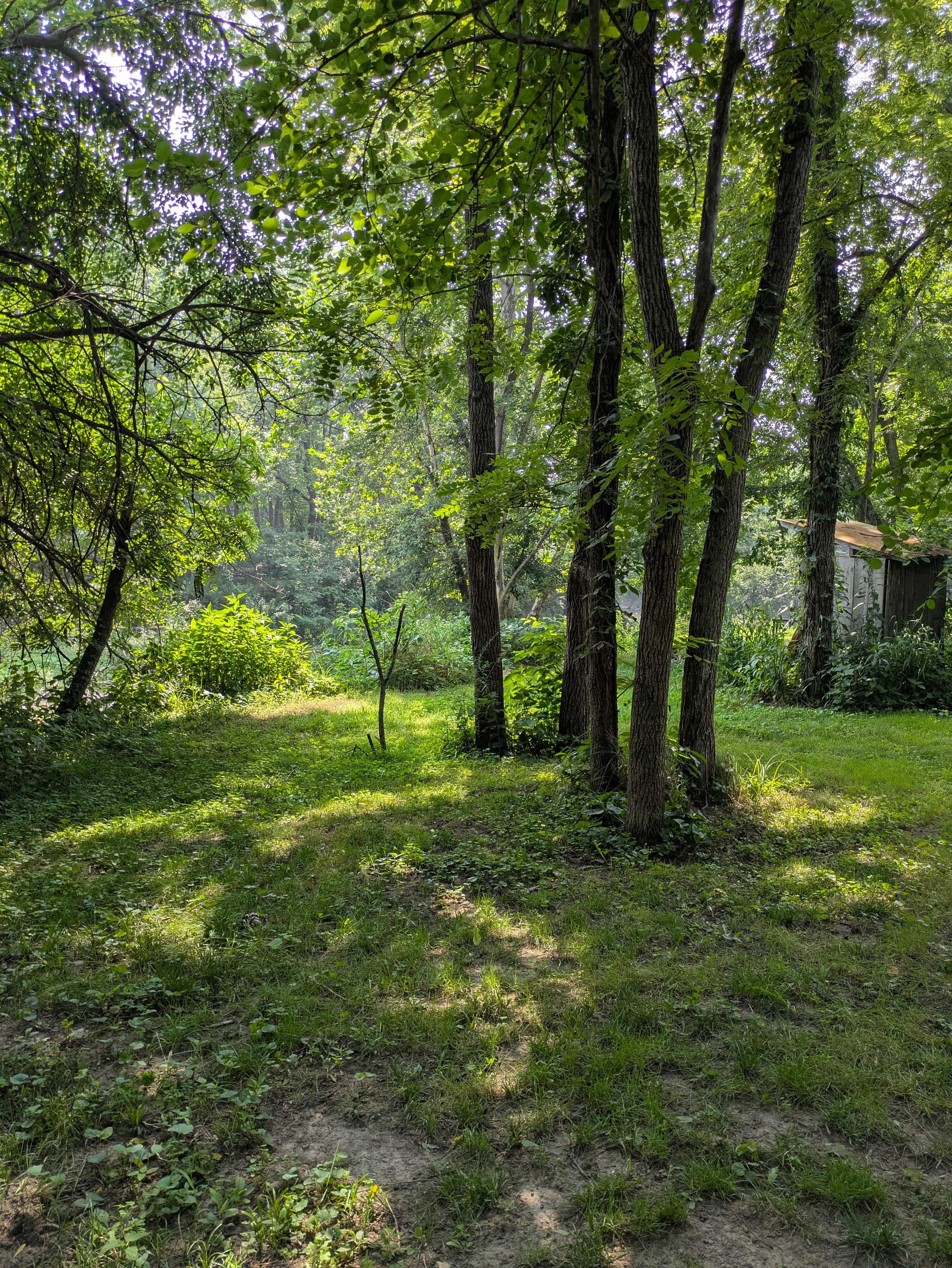 Foreaker Farm/Creek Side Valley