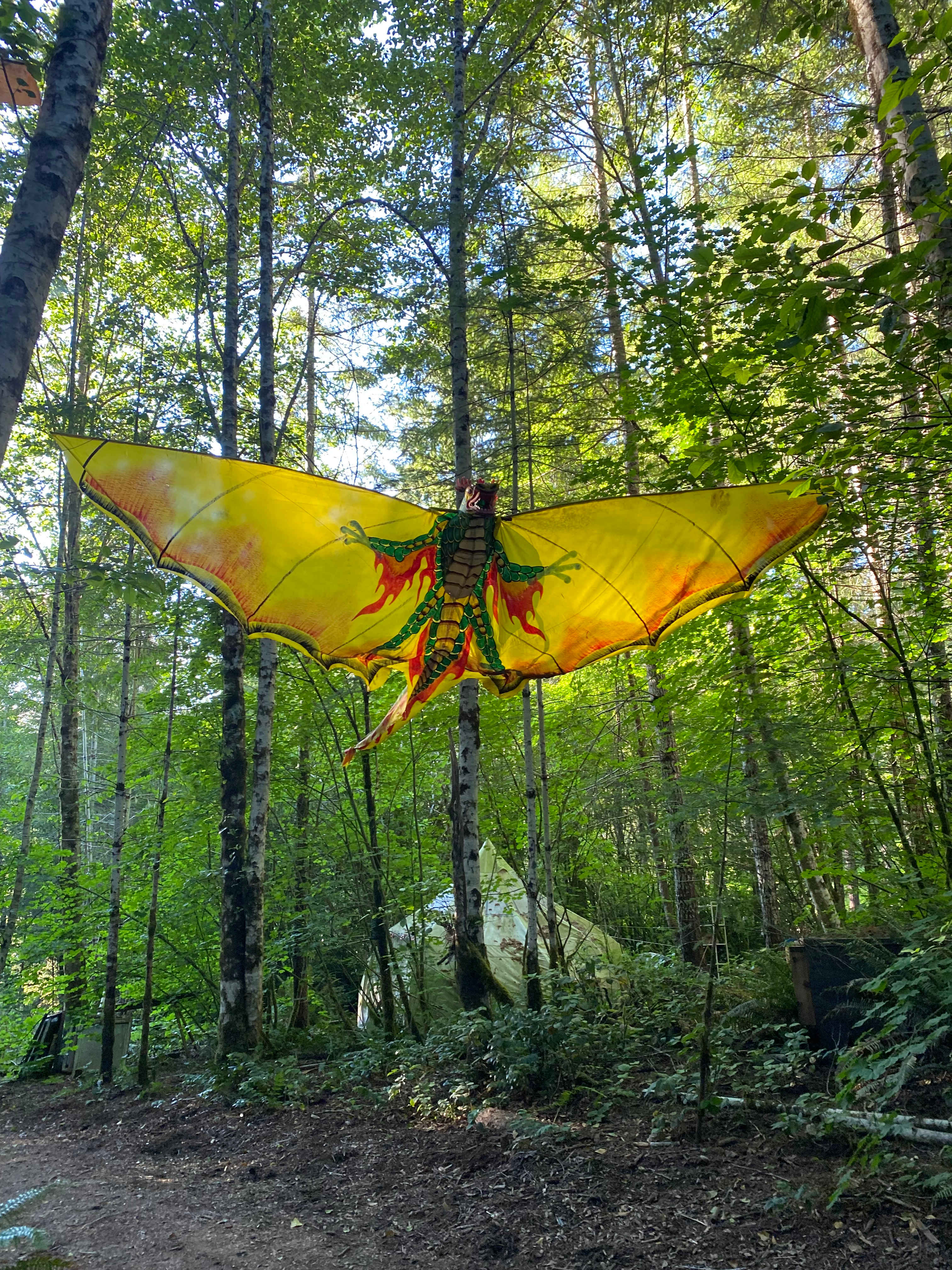 Elfendahl Forest