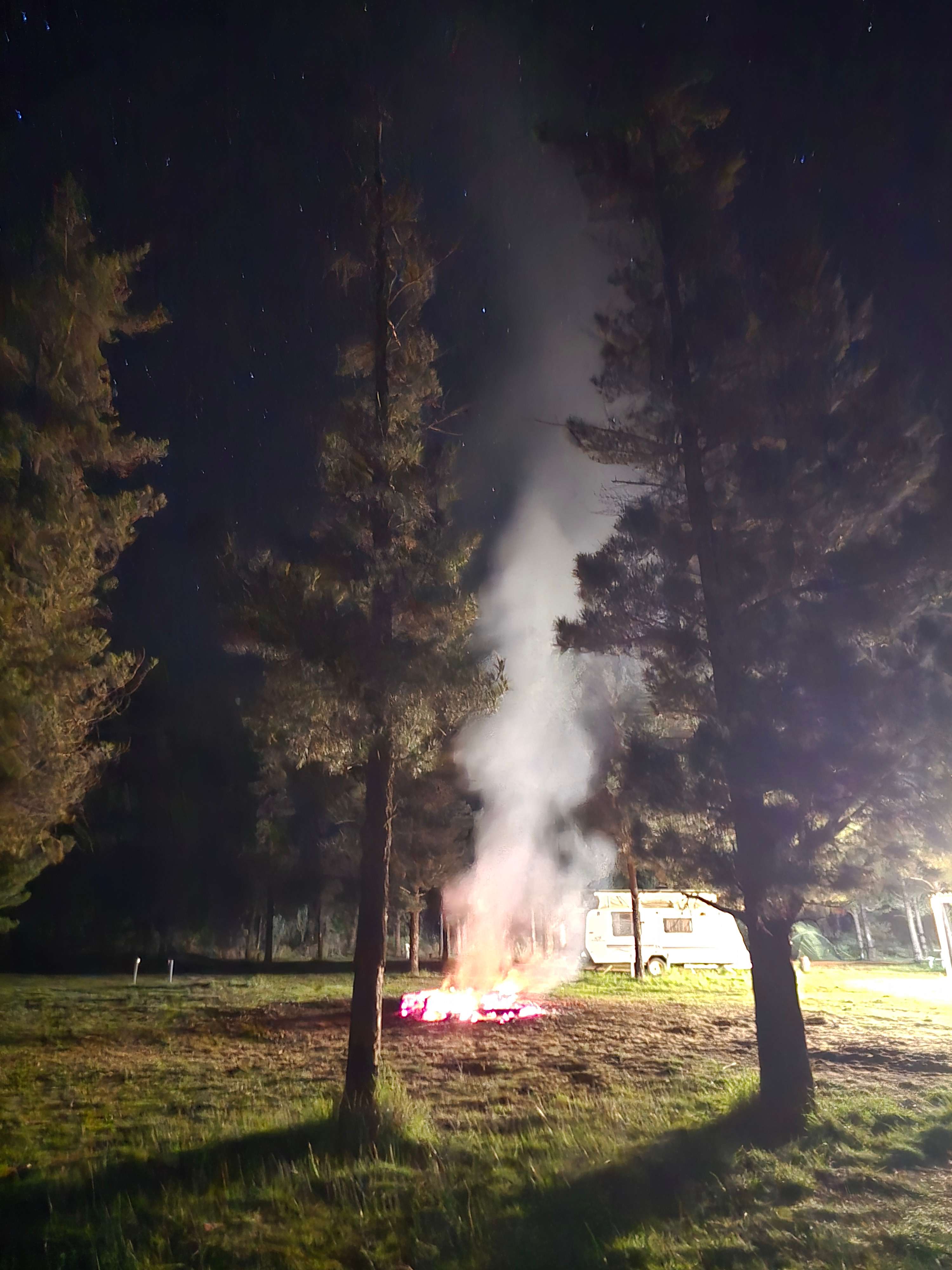 Little Eeden Farm Pine Camp