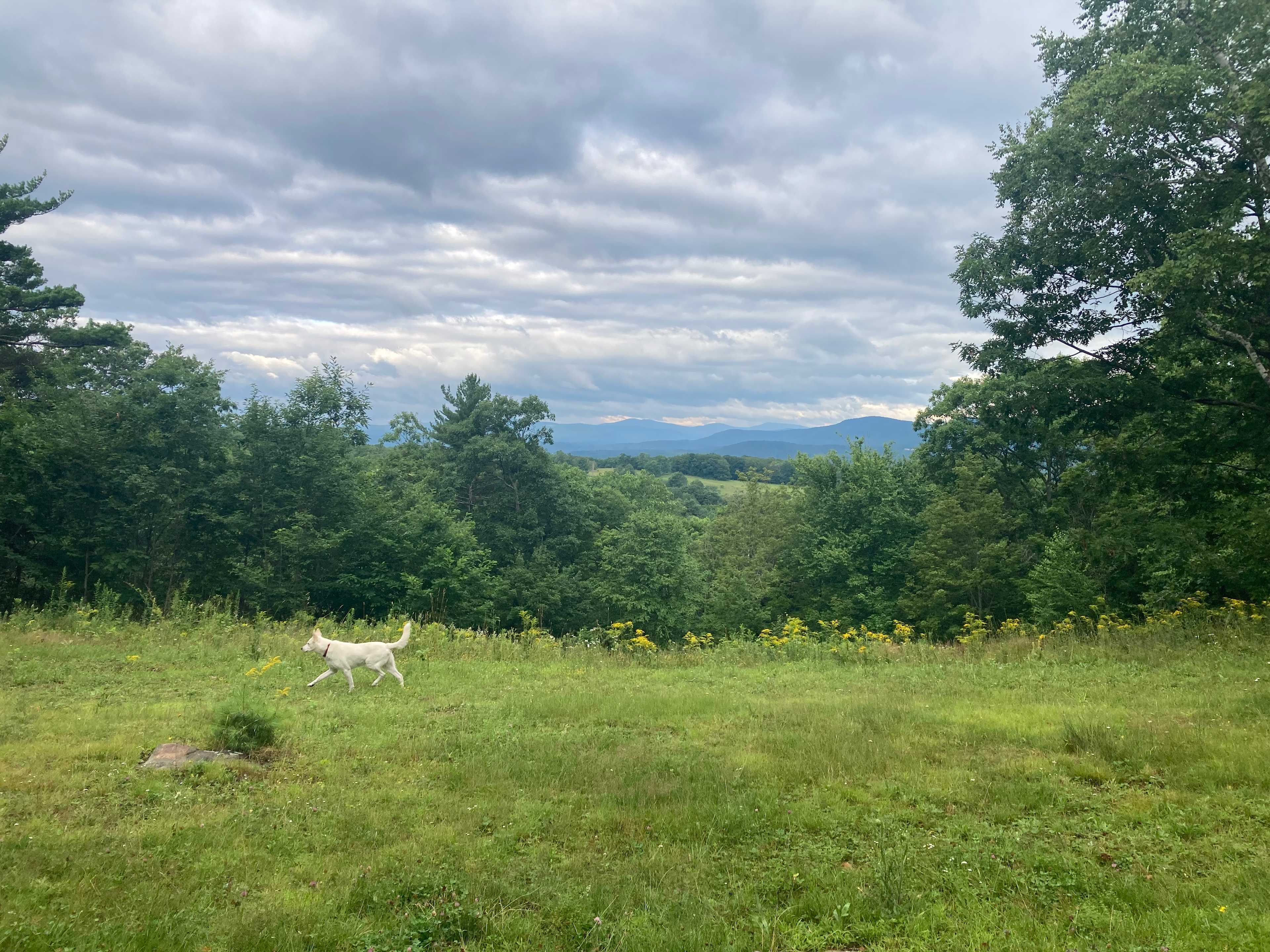 Green Mountain Getaway