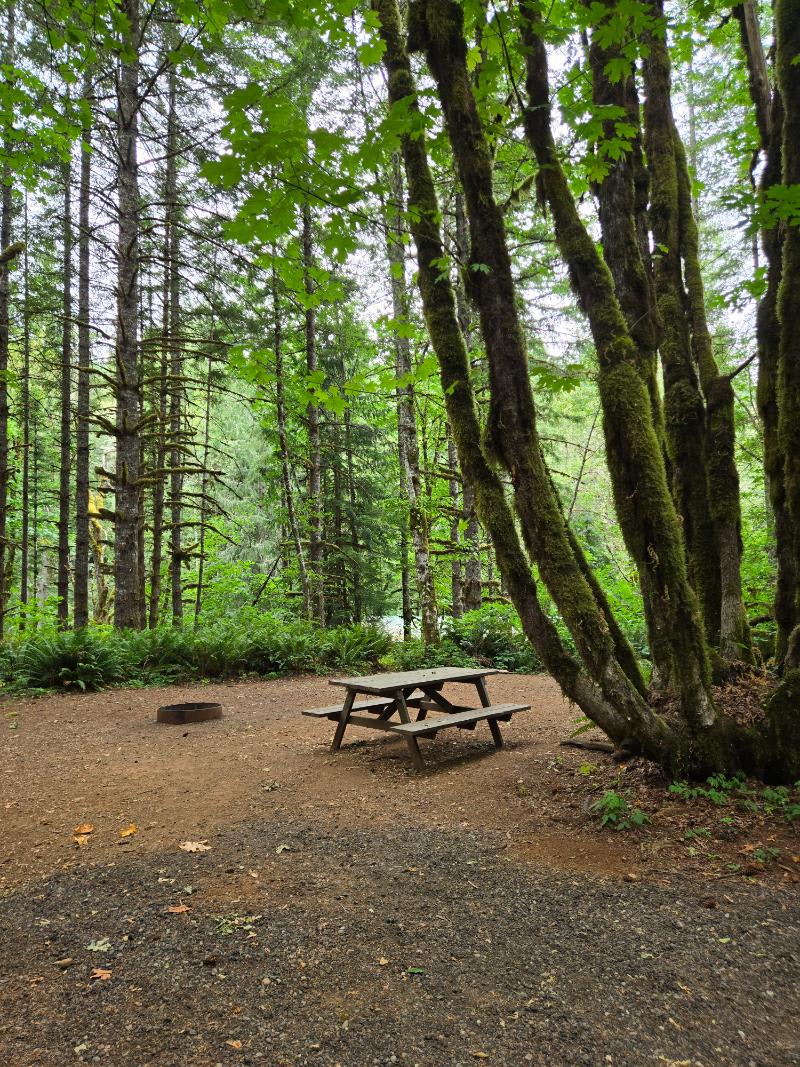 Zen Acres