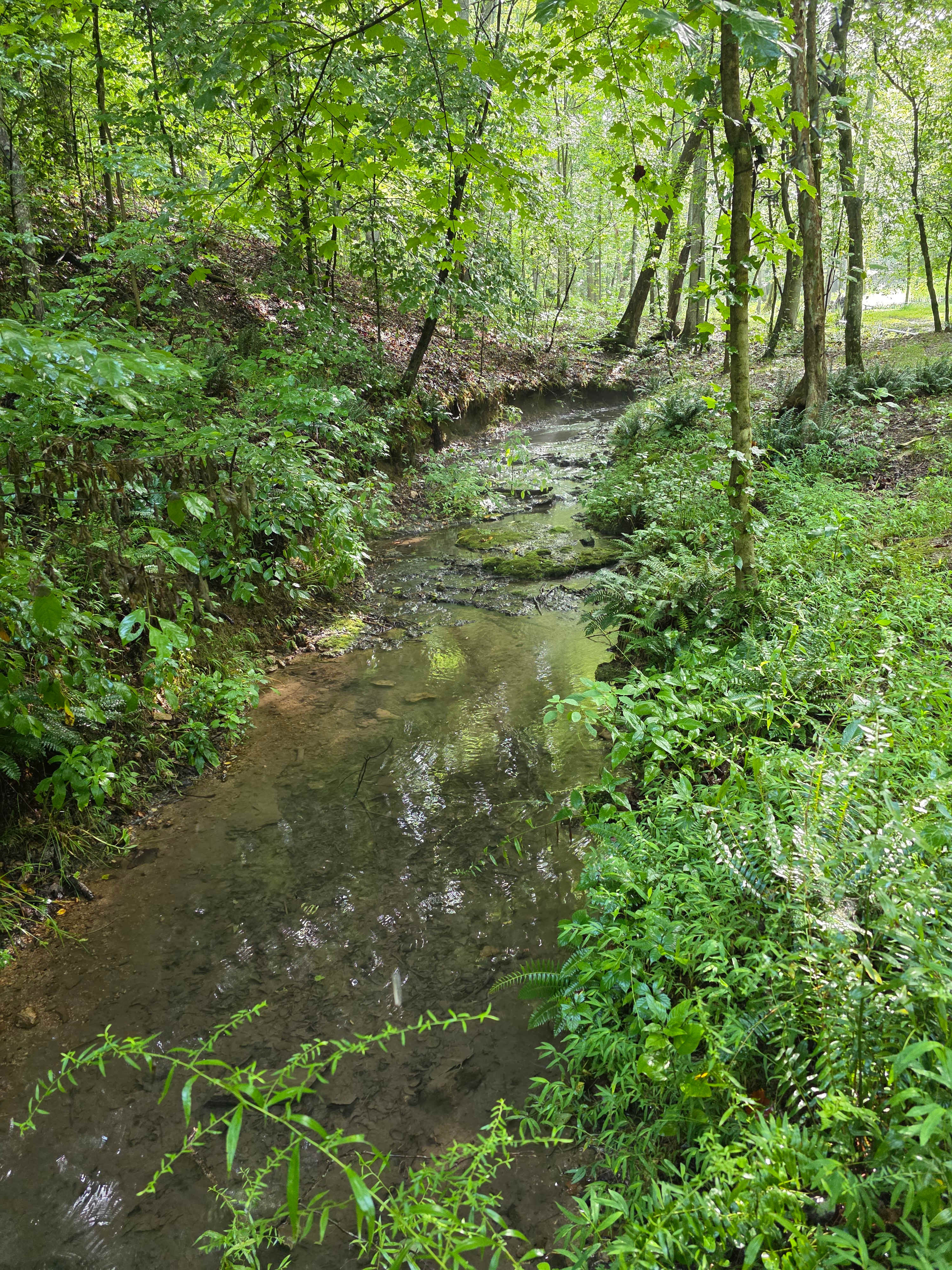 Lionsgate Campground