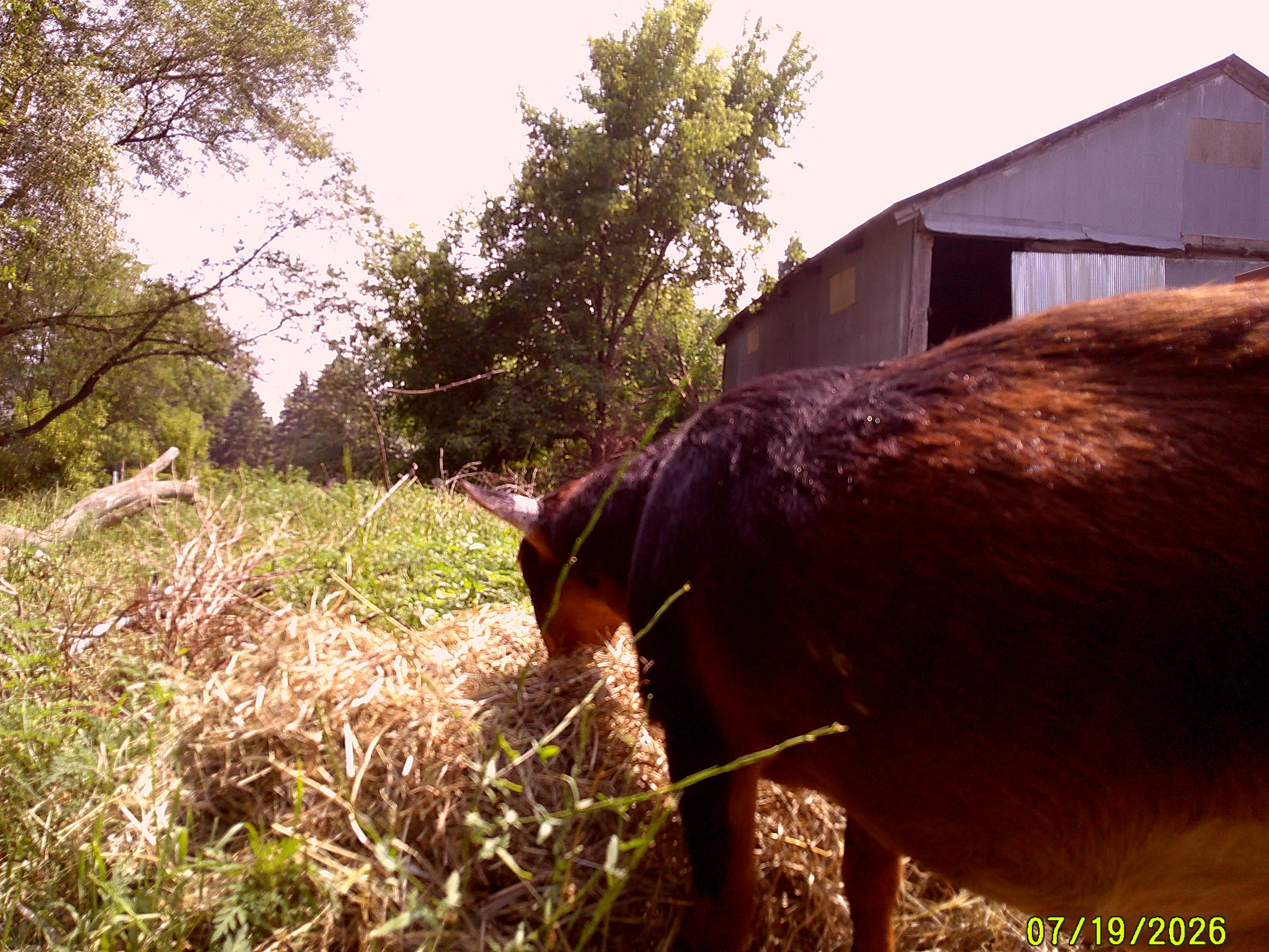Whippletree Farm & Nature Trail