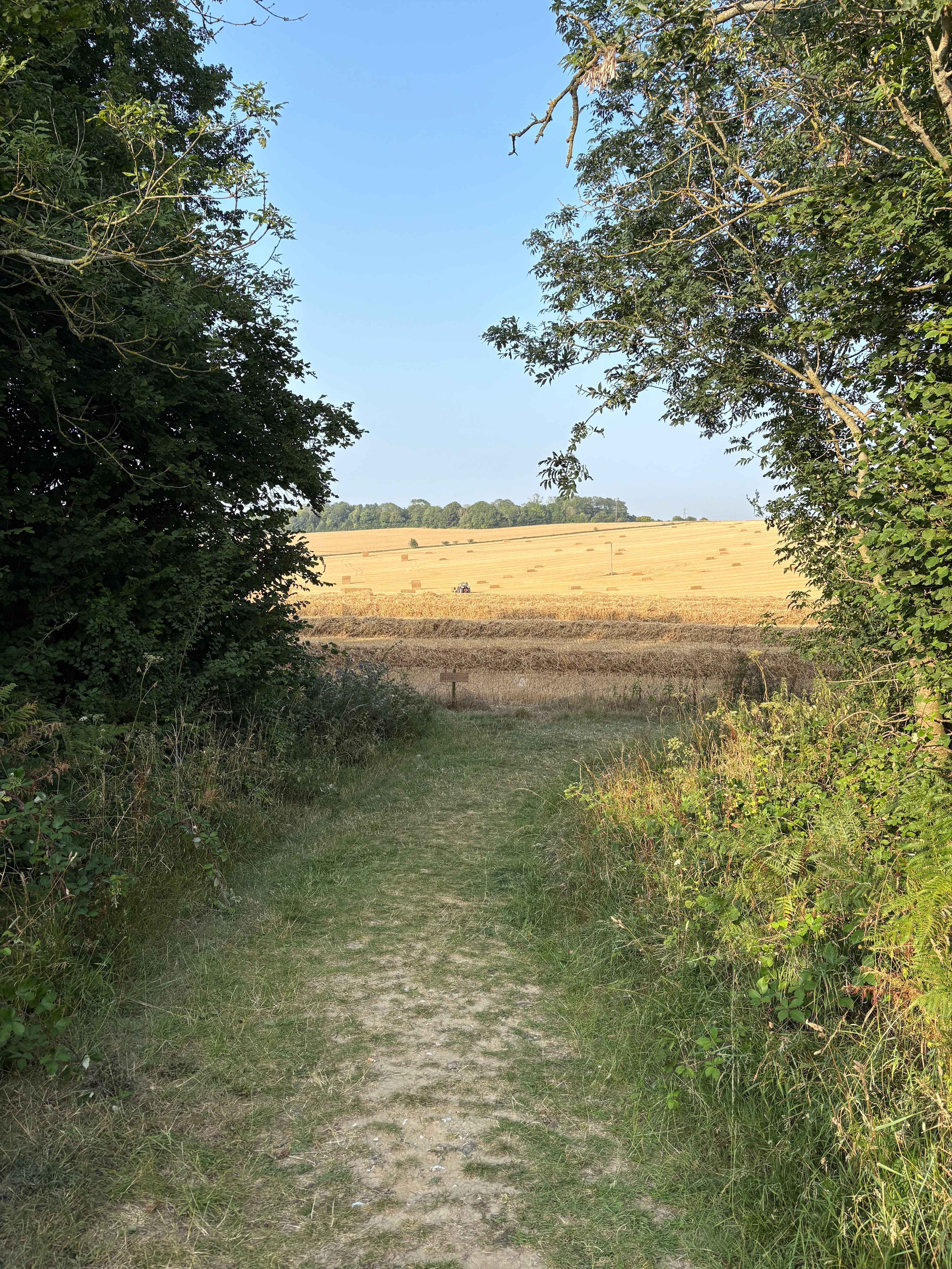 En route to the village