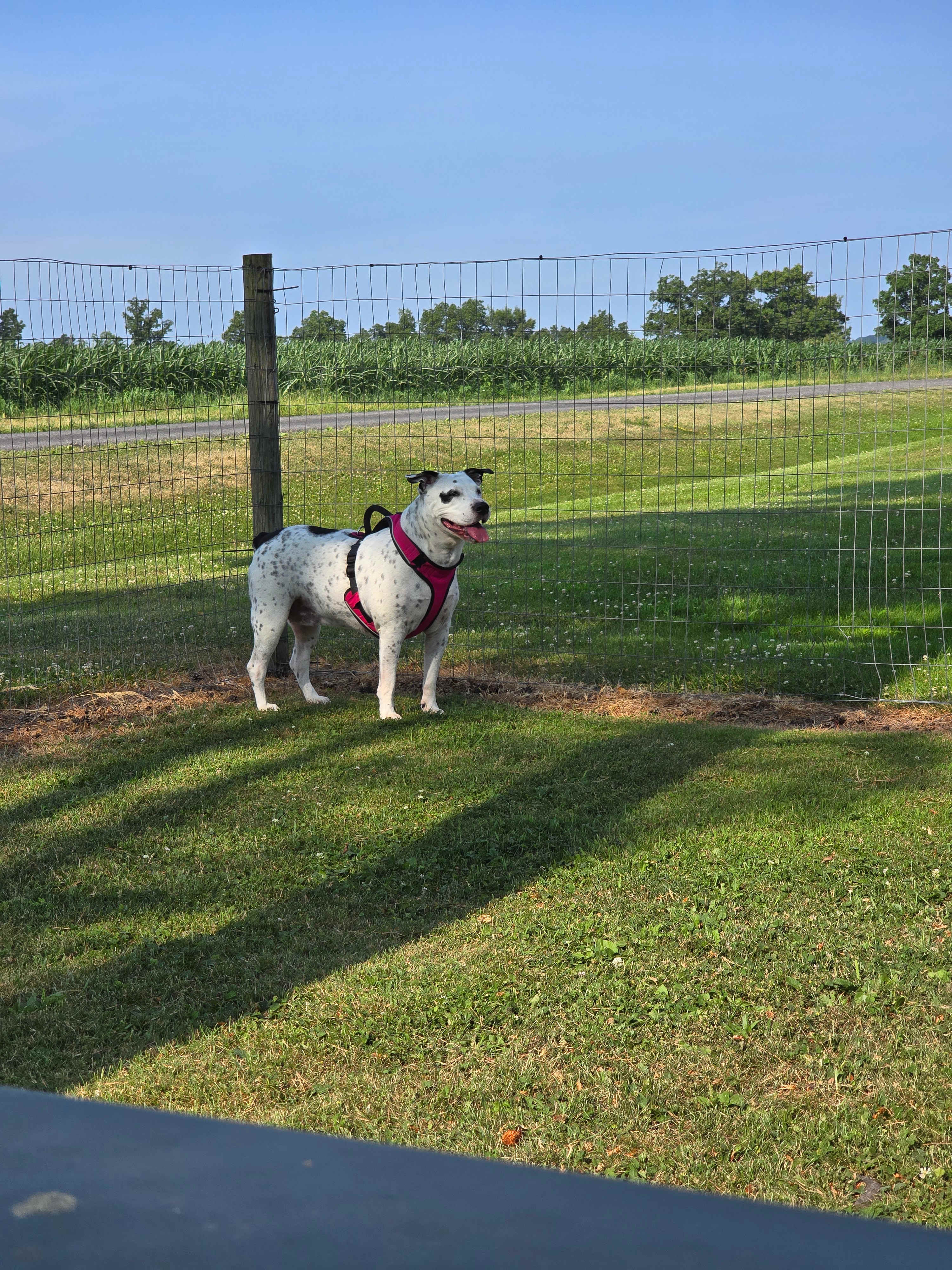 Country Charm Campground