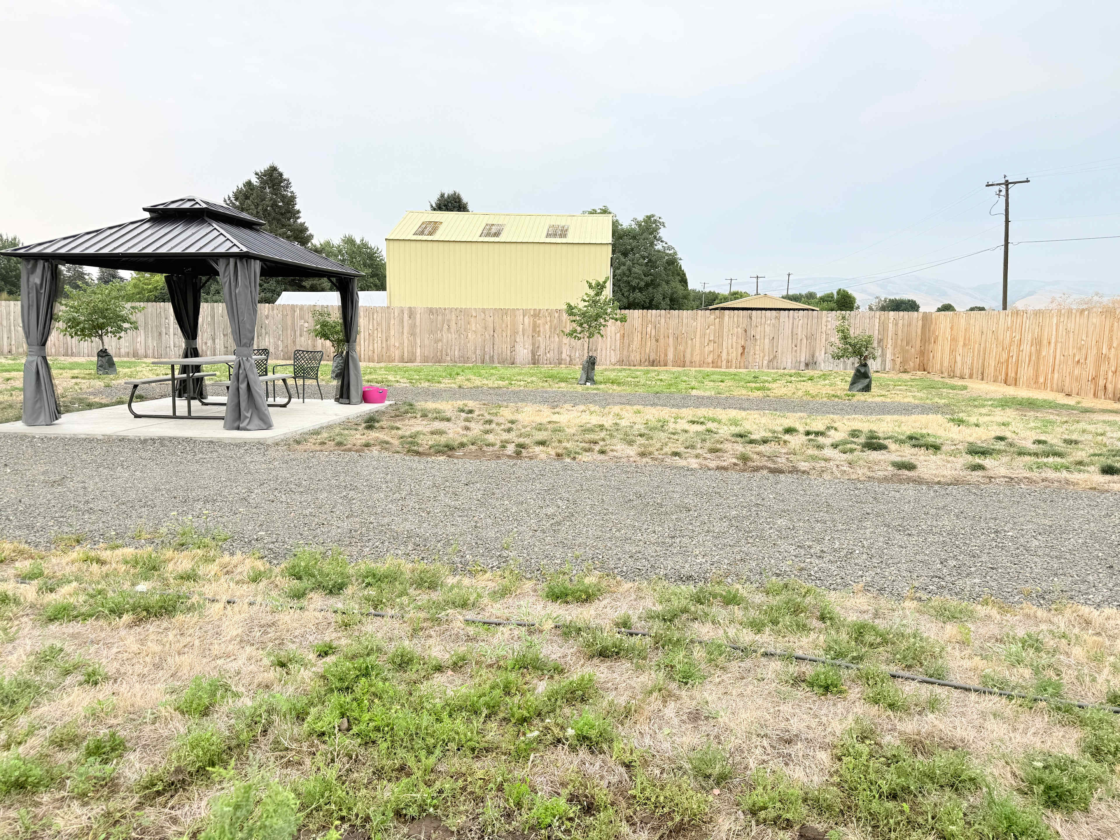 Picture of the site