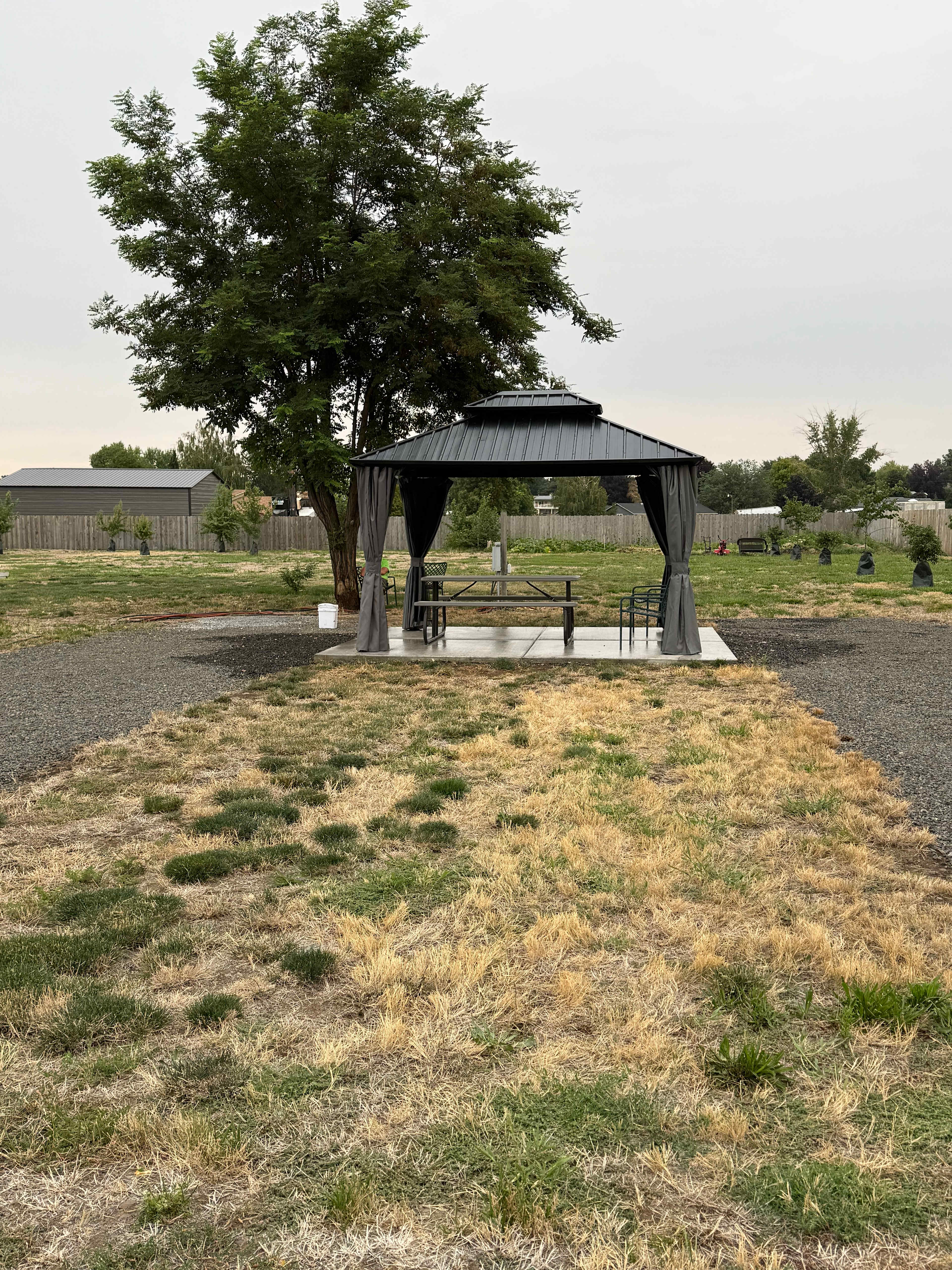 Picture of the site