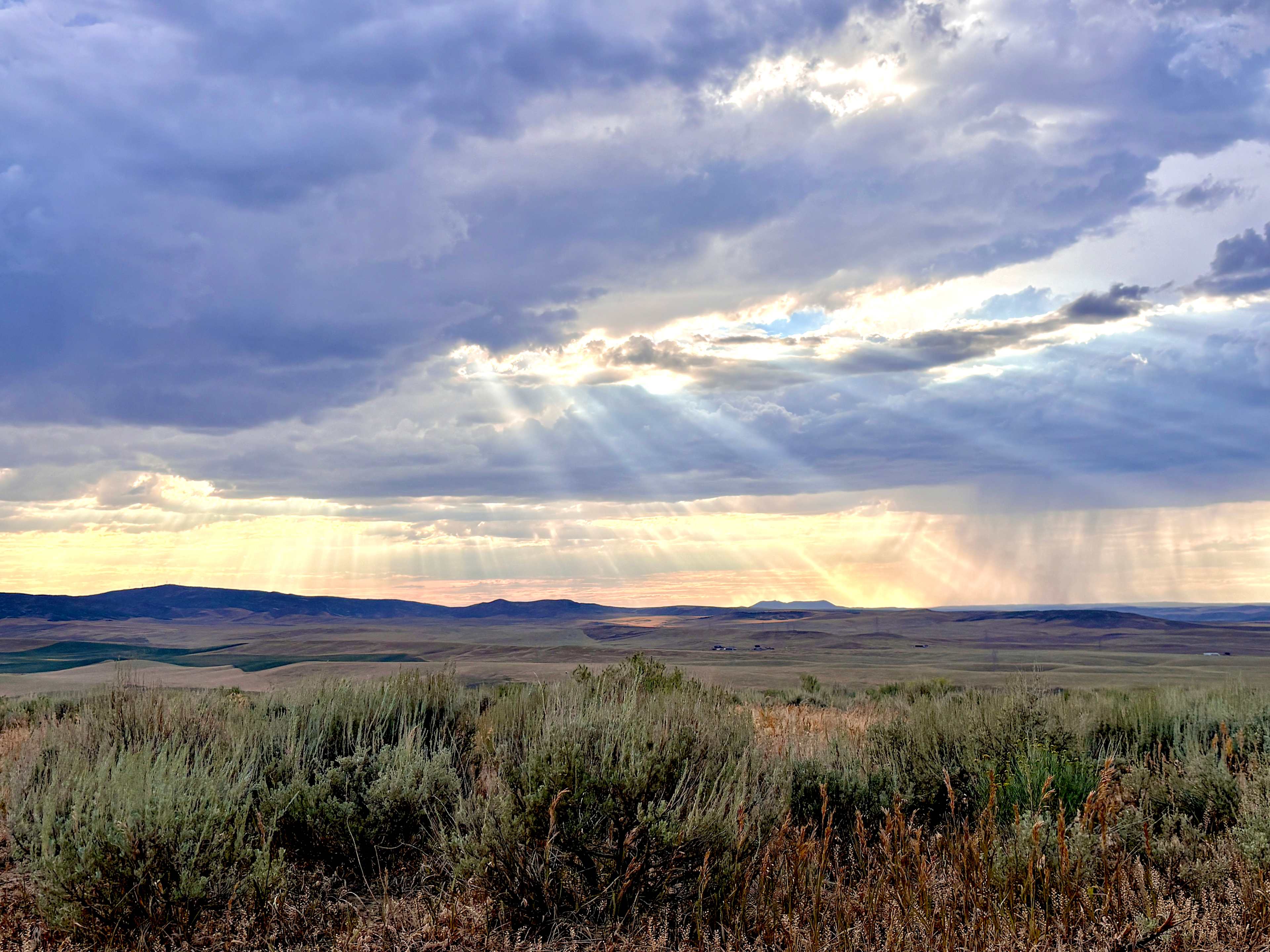 Sagebrush Solitude