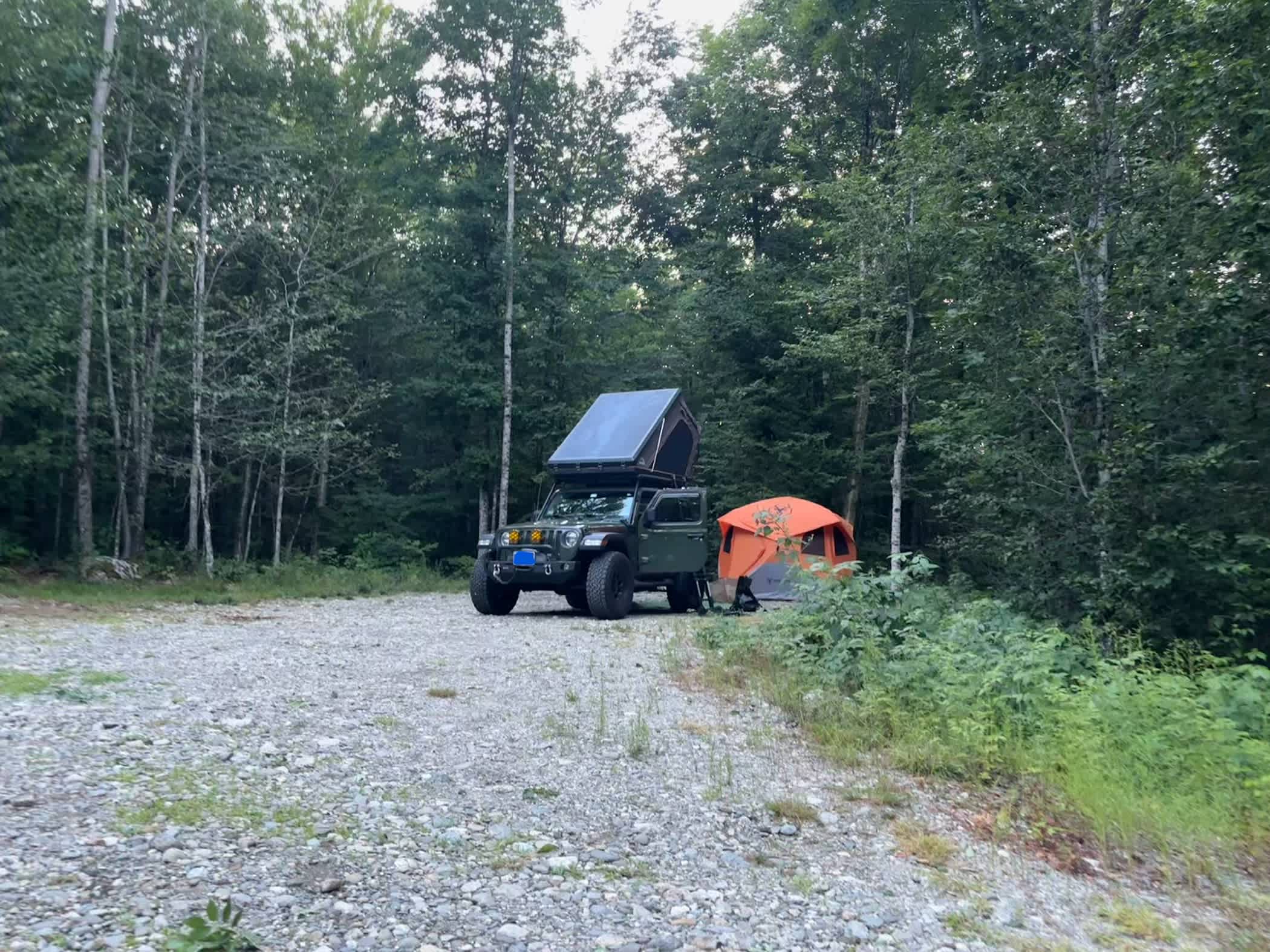 13 Acres/Off Grid/Branch Lake!