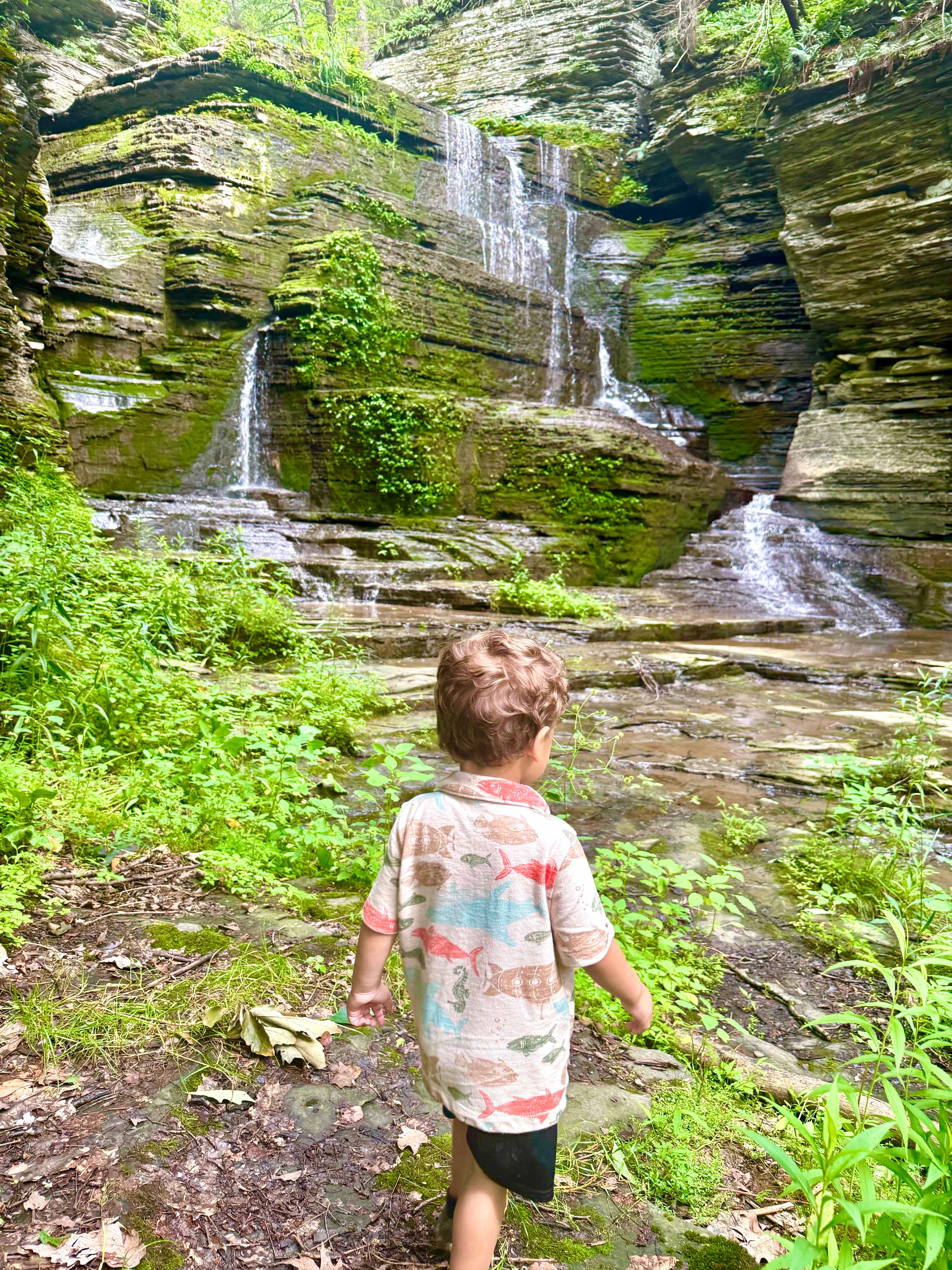 The  Waterfall💦 we camped at site 3 and could hear it perfectly through the small patch of woods