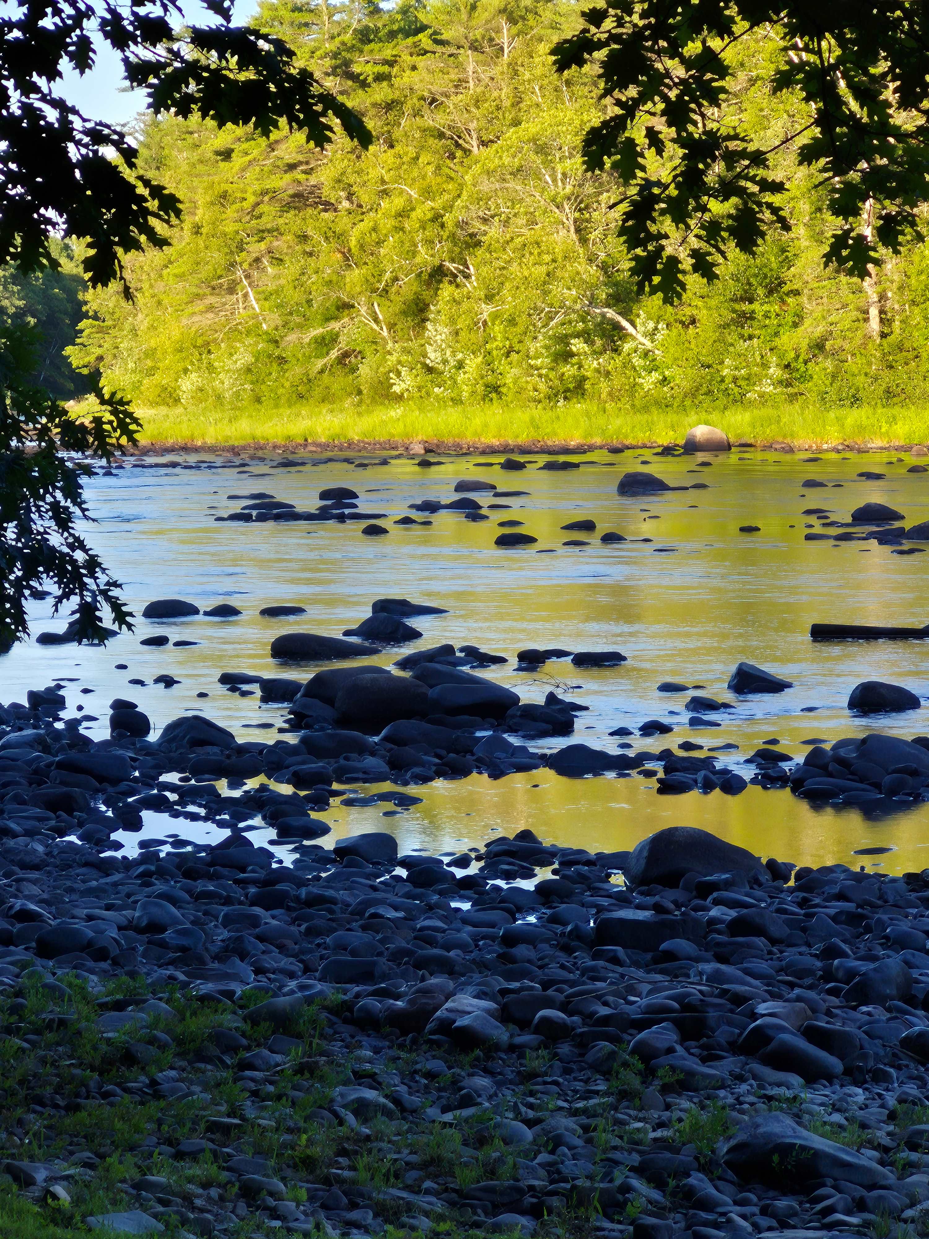 Piscataquis Point