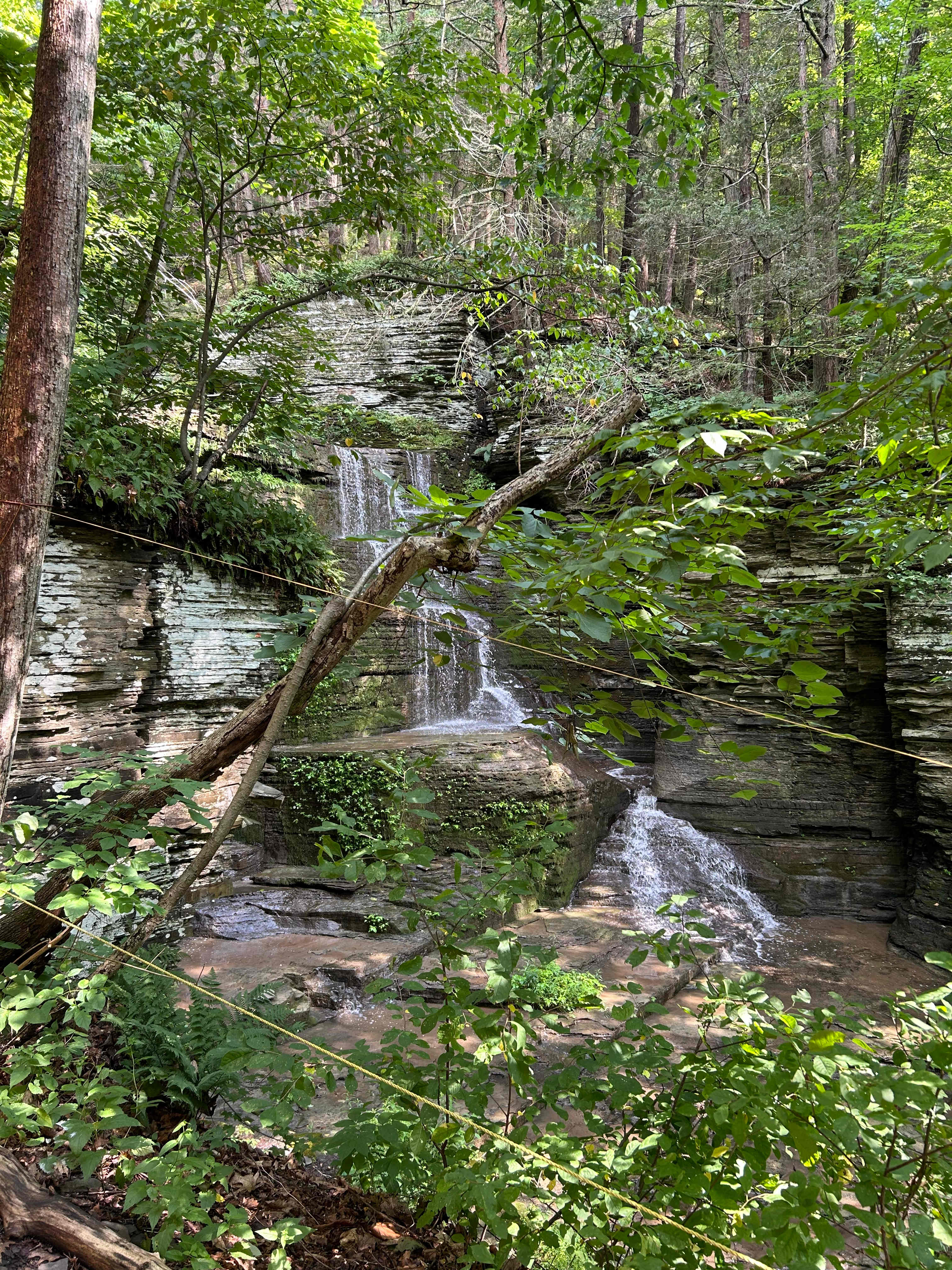 Waterfall Creek