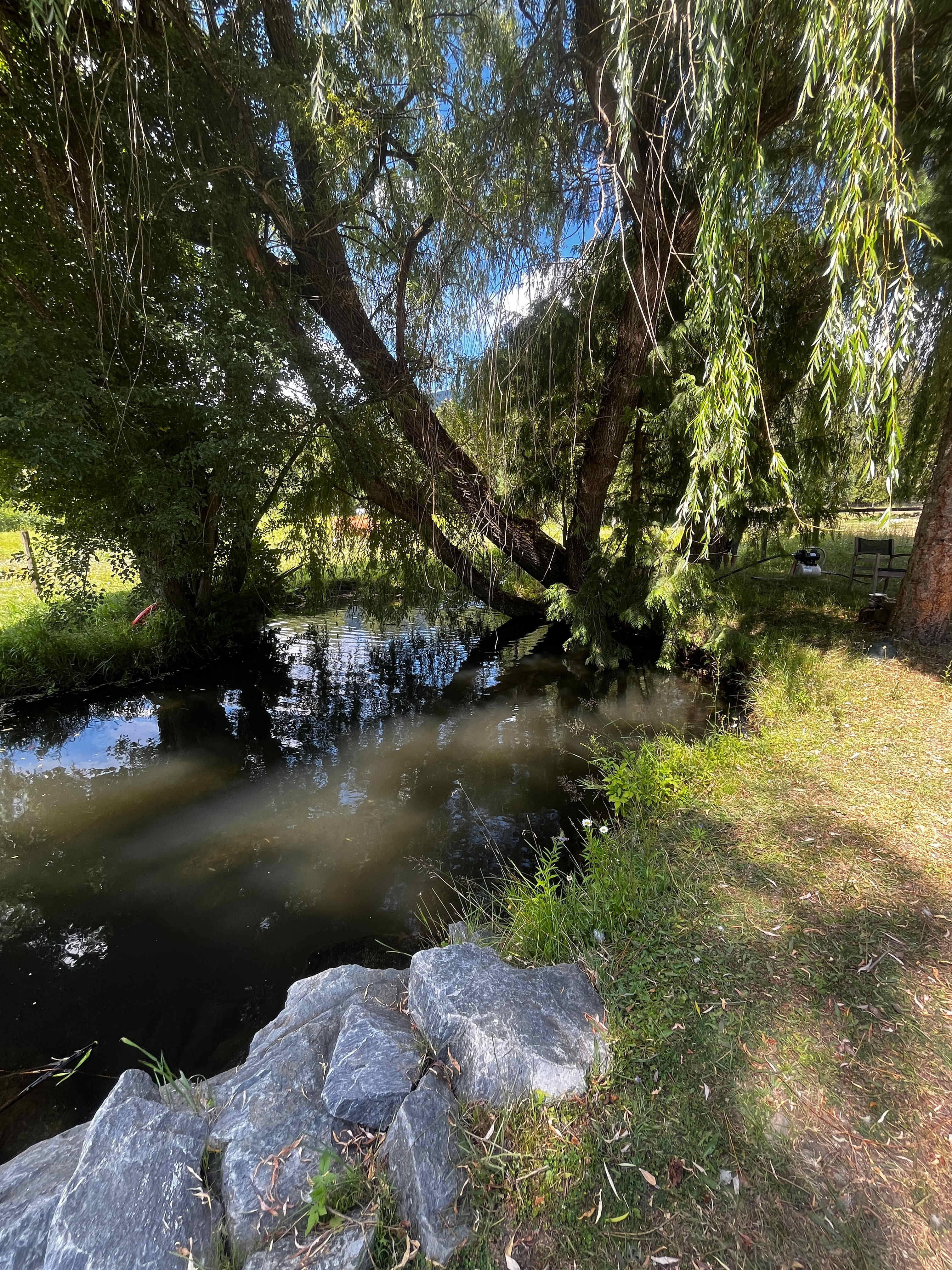 Olich Creek Farm