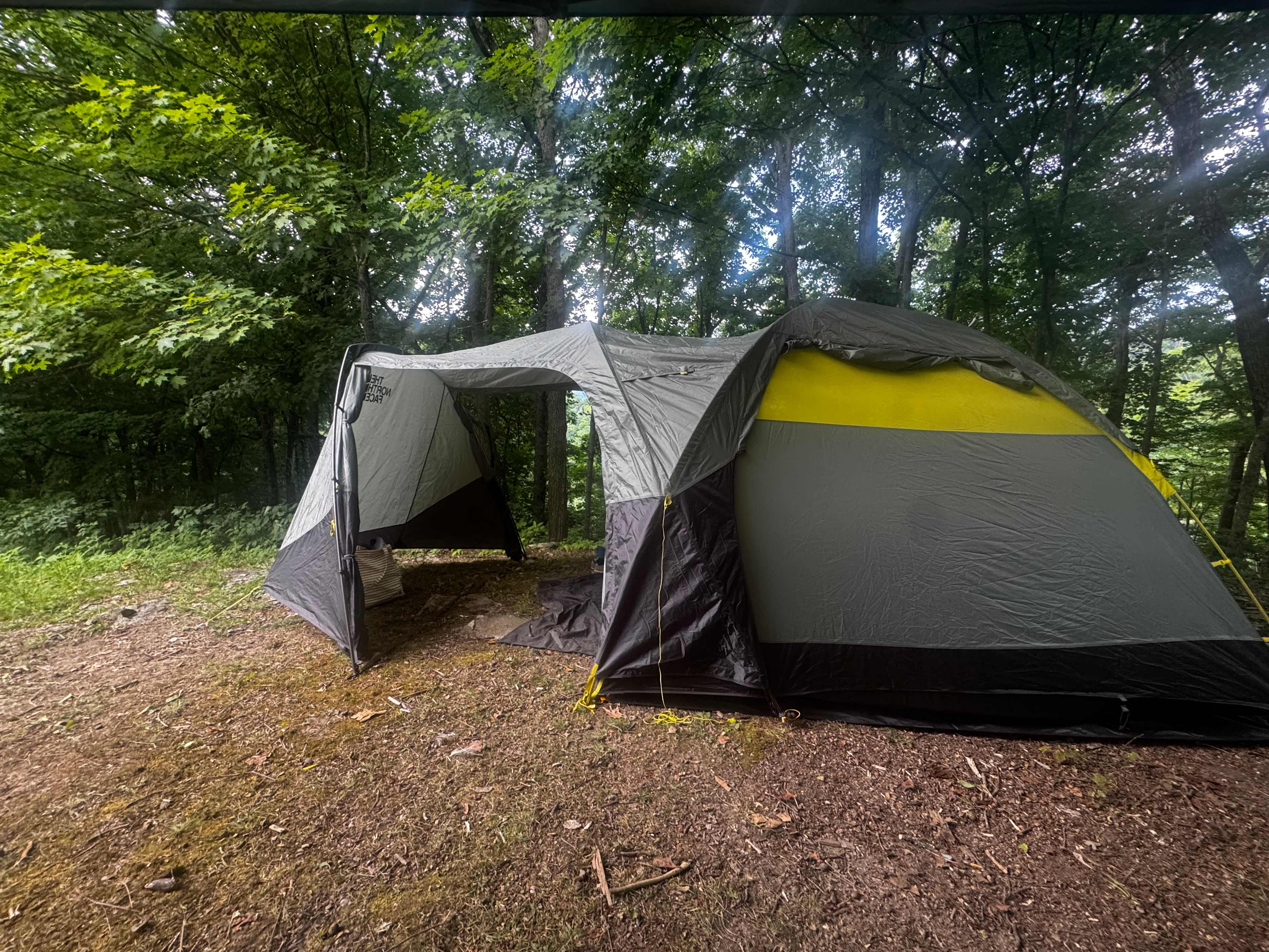 Good shady spot for big tent. 