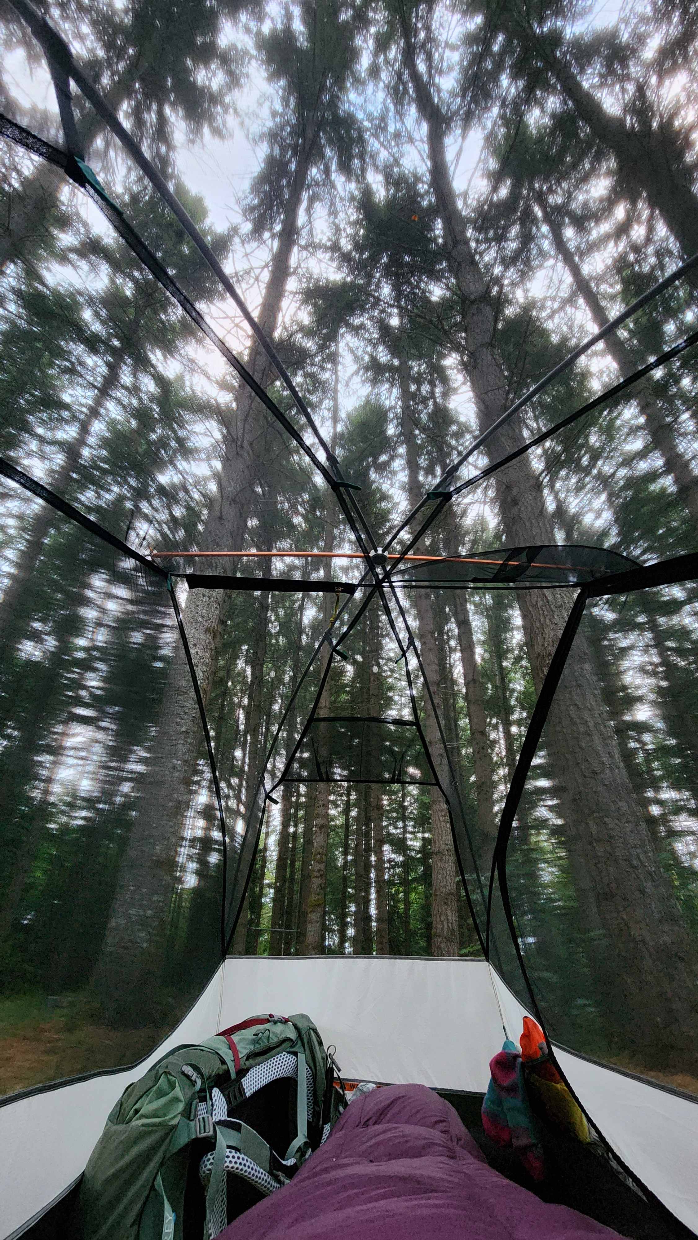 Akitaaru Forest Camp