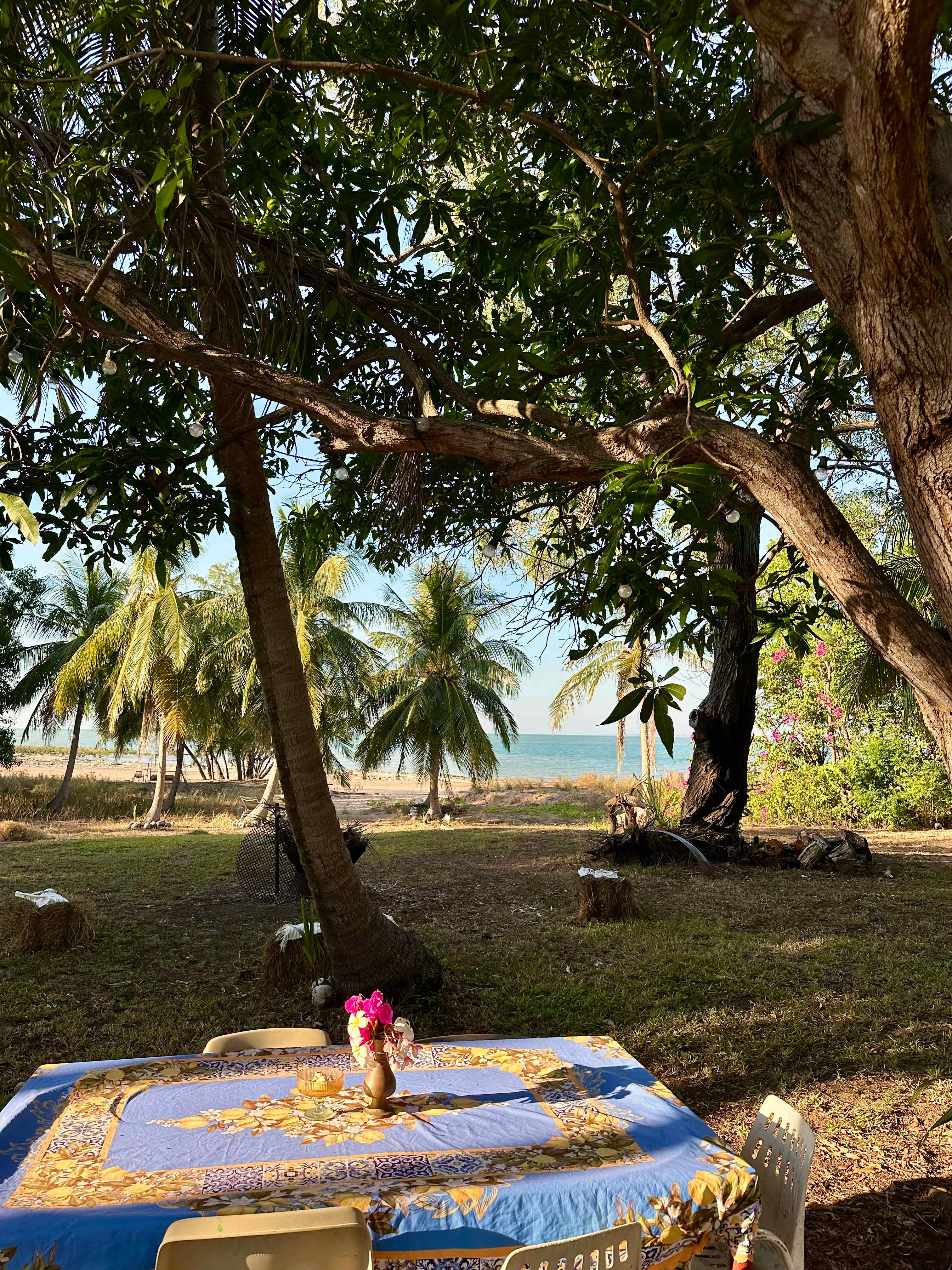LA Beach Camp