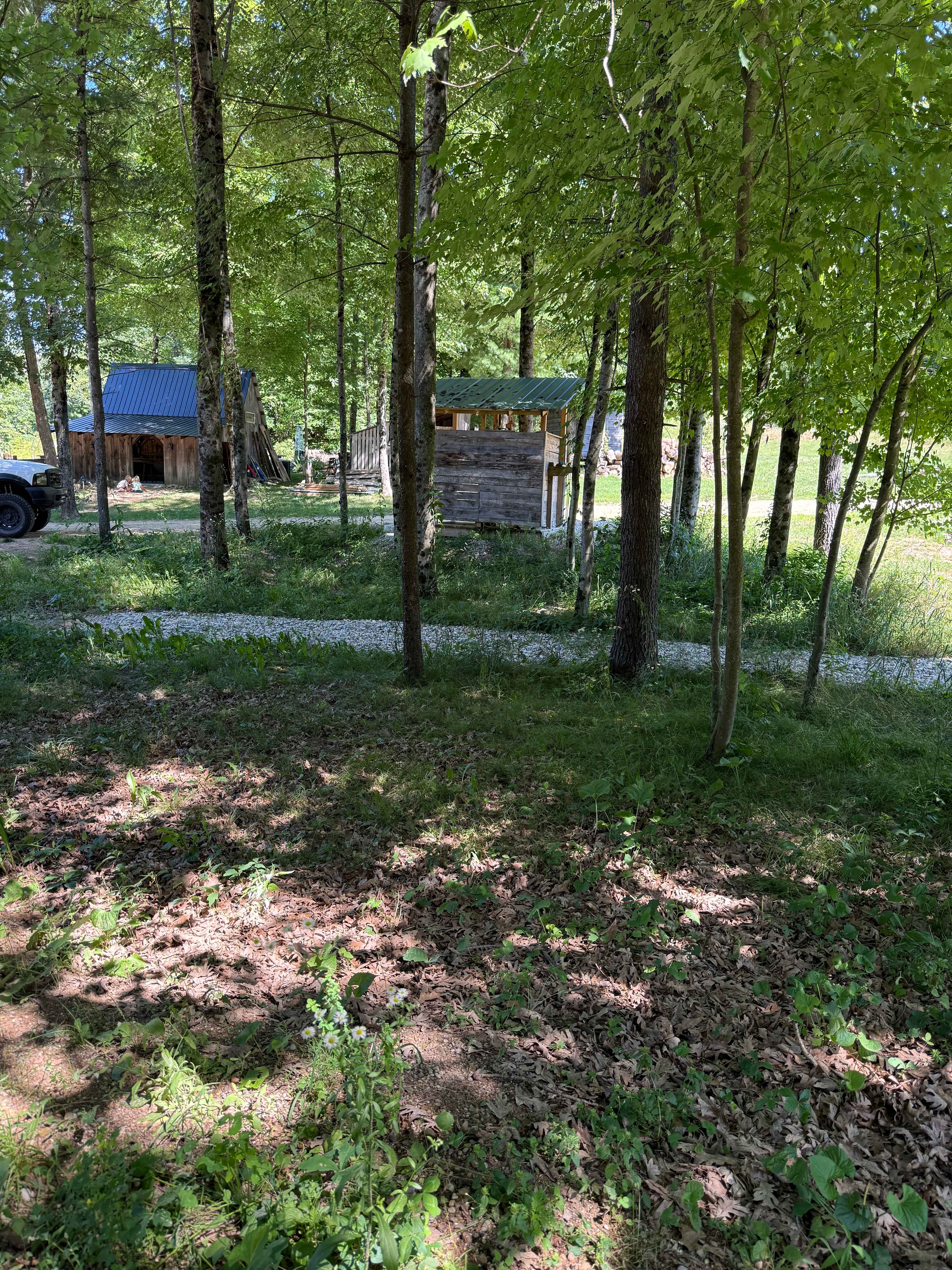 Dragon Adventures Base Camp