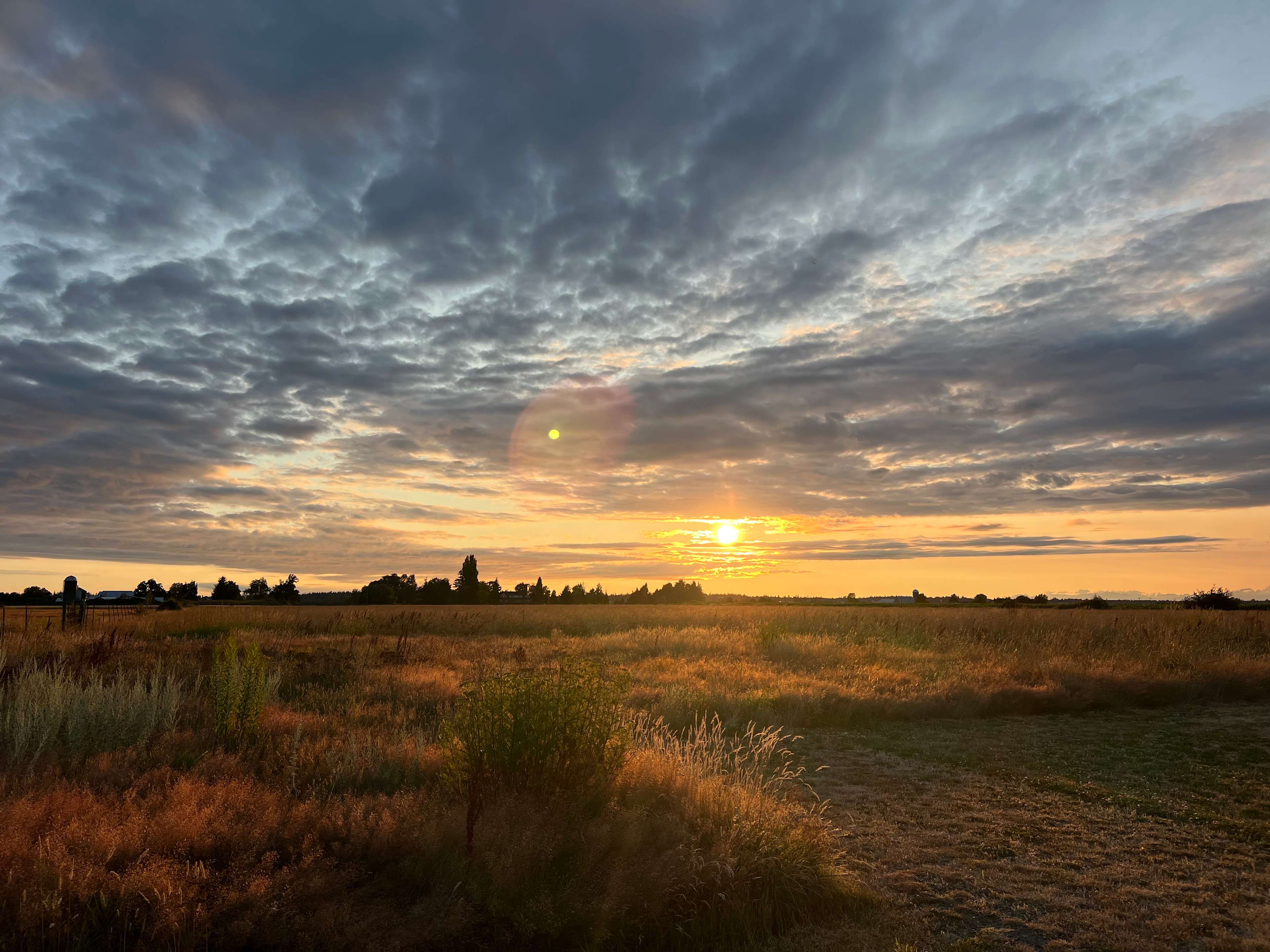 Beautiful sunset