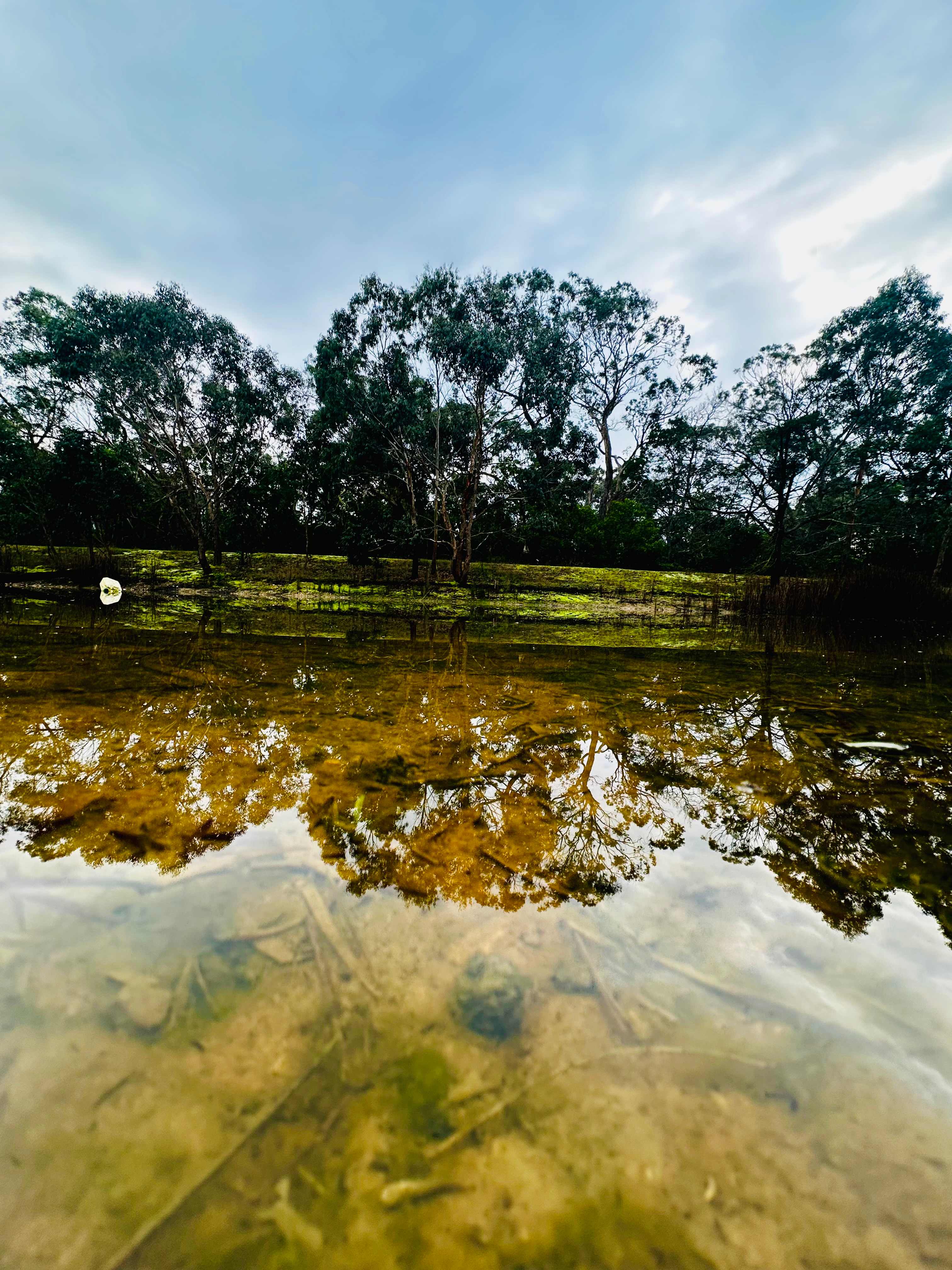 Sunny Lake Farm