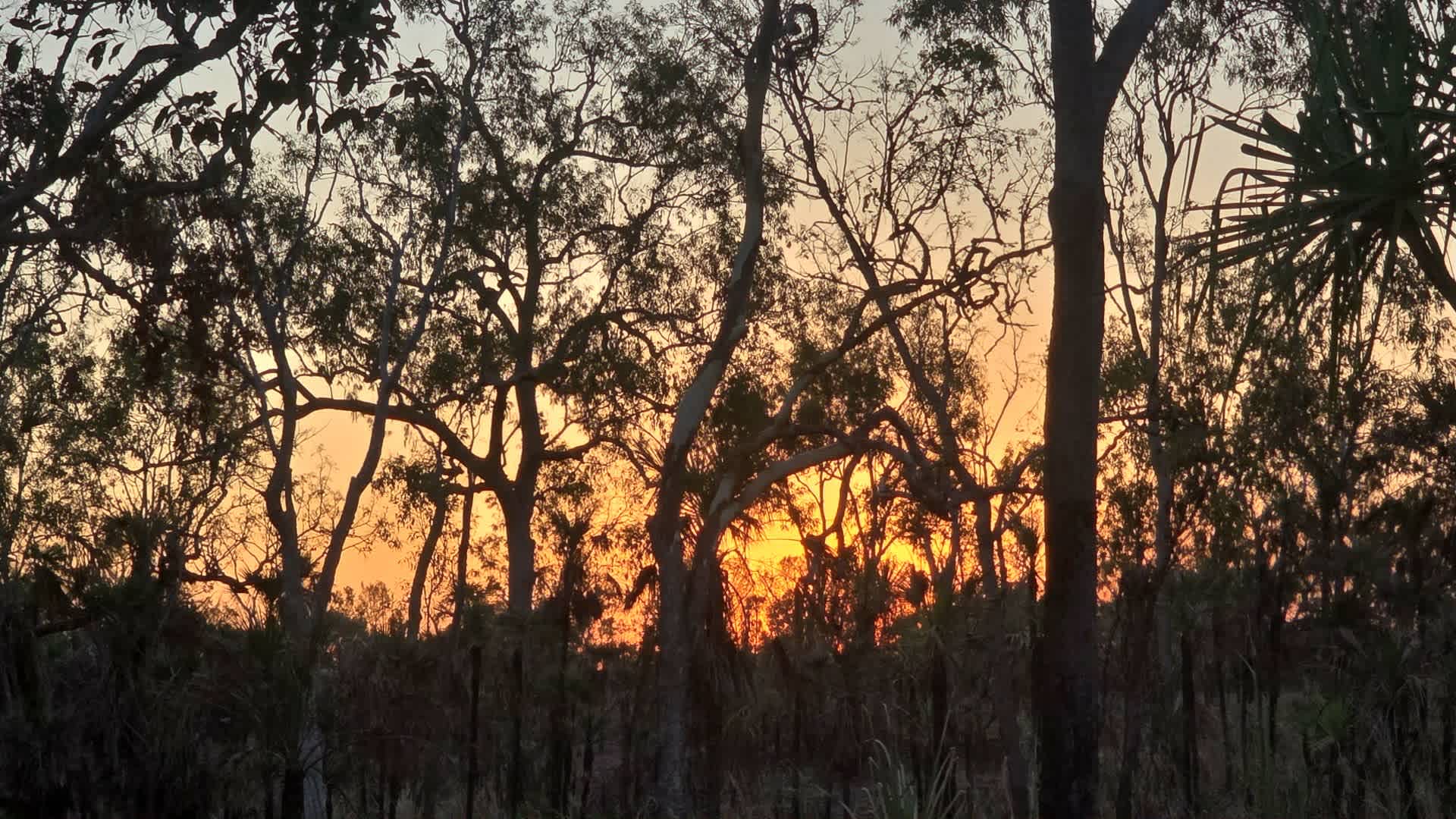 Litchfield Bush Sites