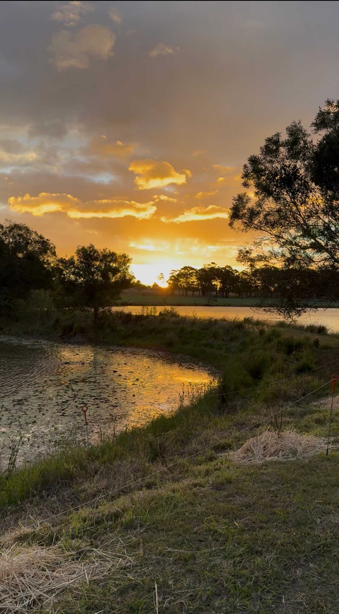 Lake Hagislea Farm