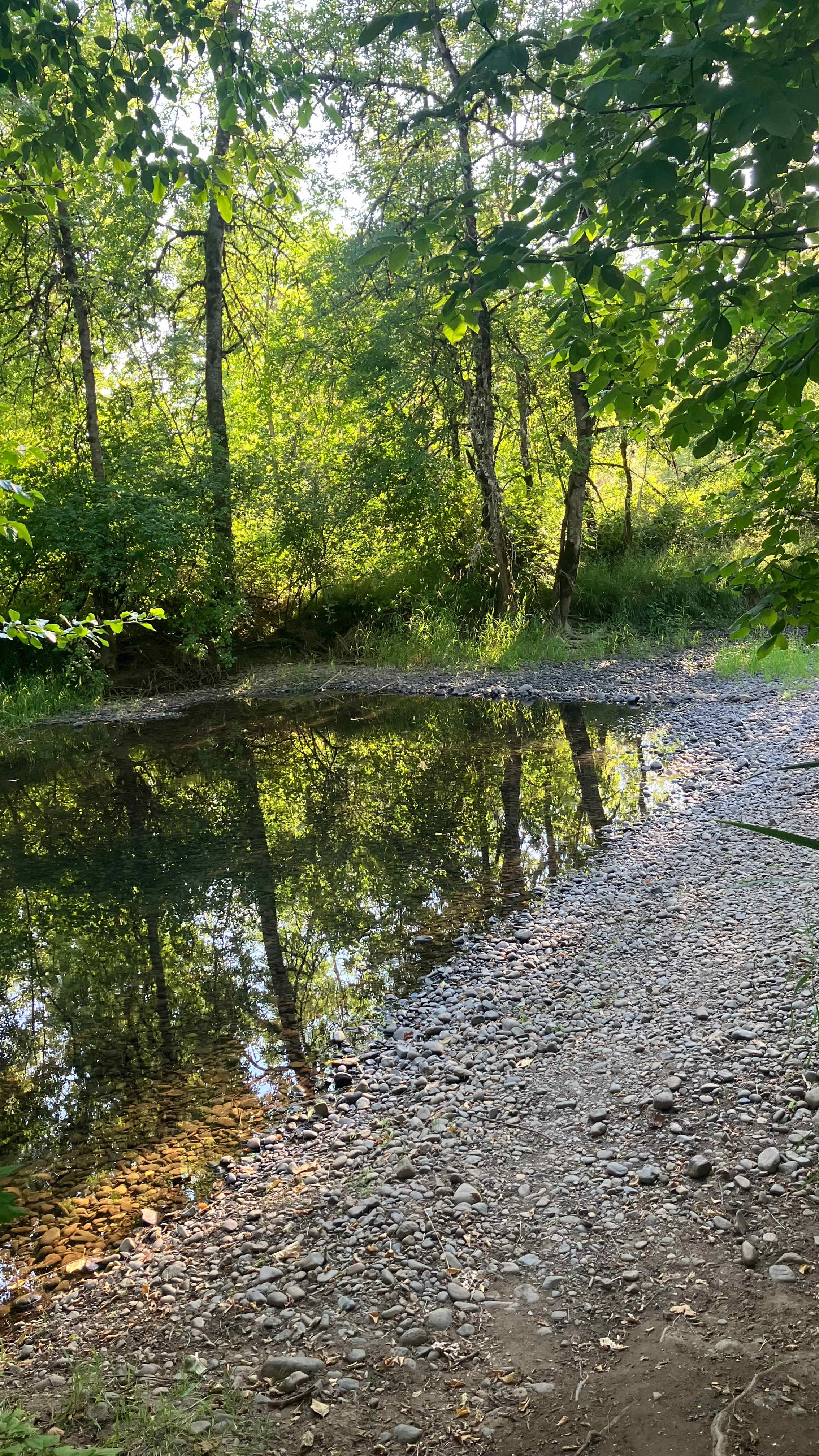 Santiam Serenity