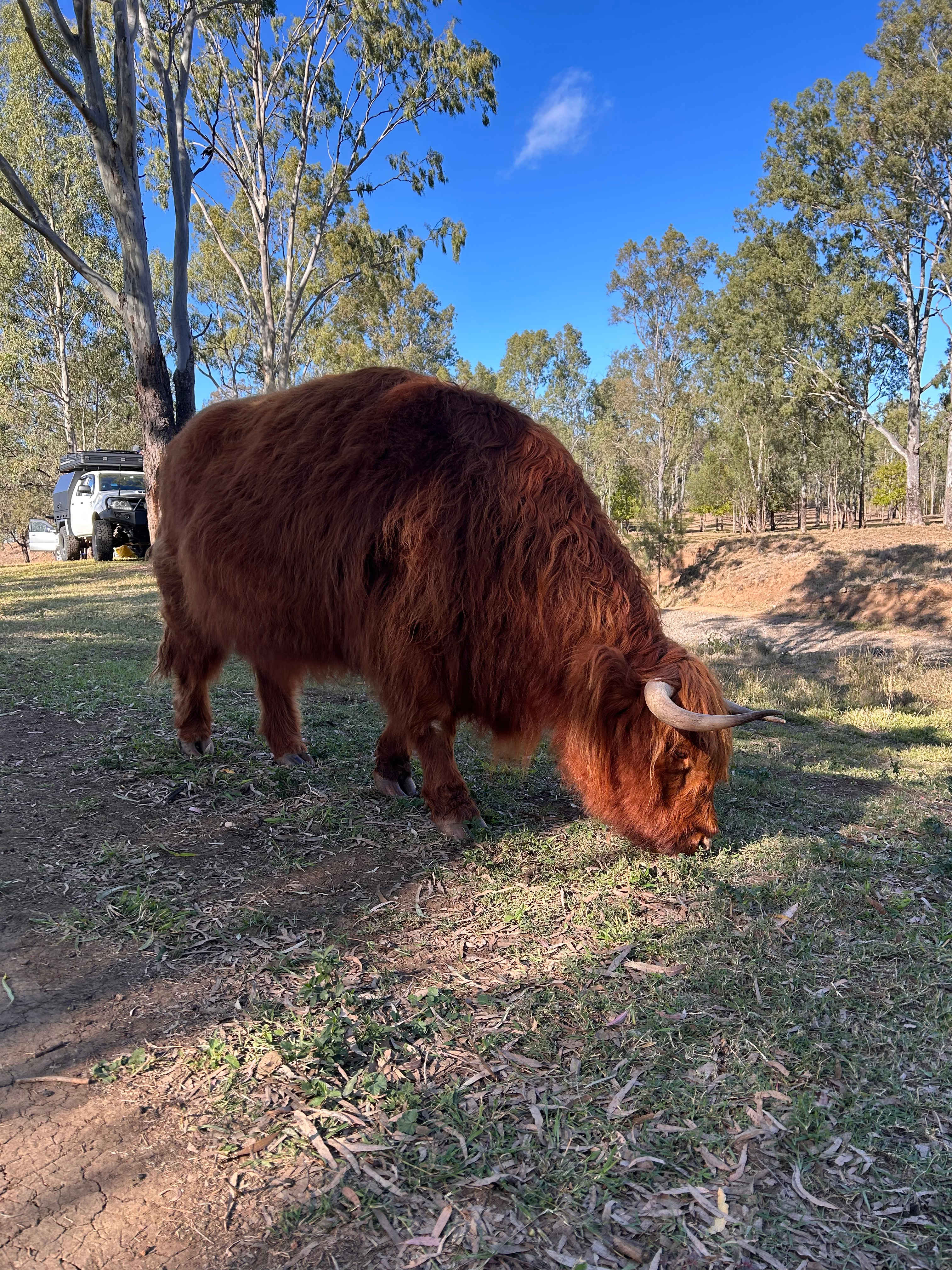 Rocky Creek Homestead