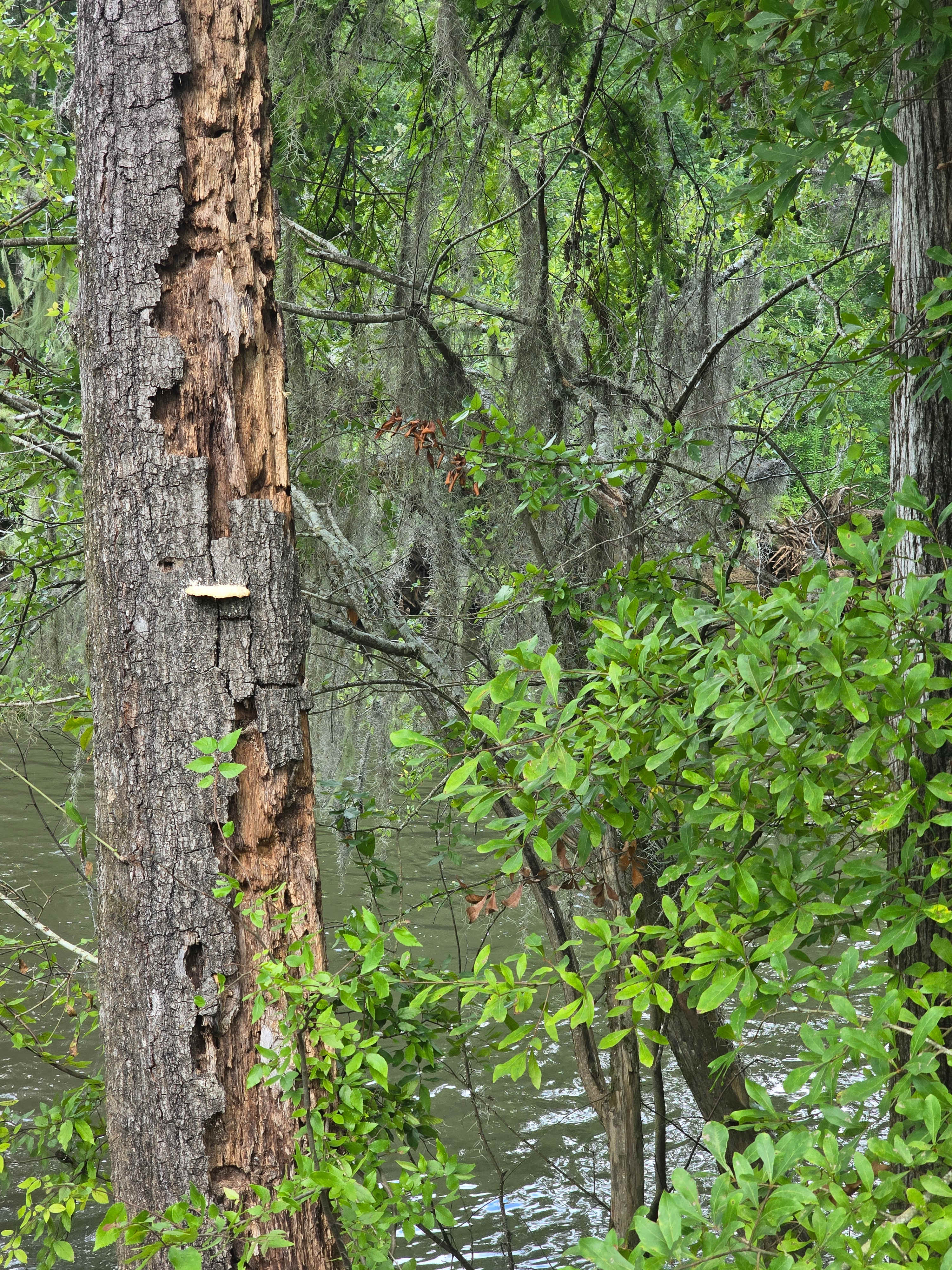 Sweetwater Daze River Camp