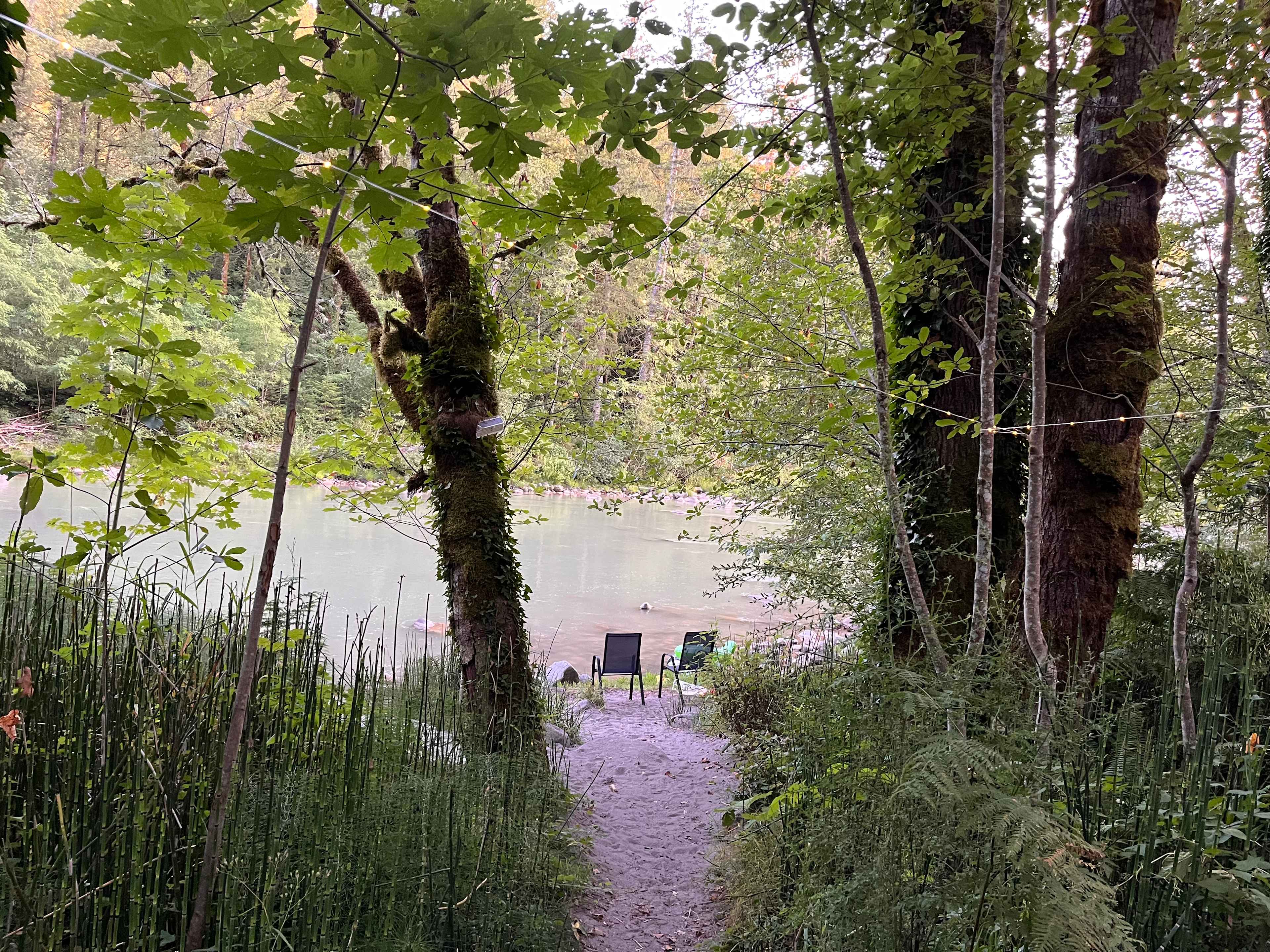Mt. Hood Enchanted Forest