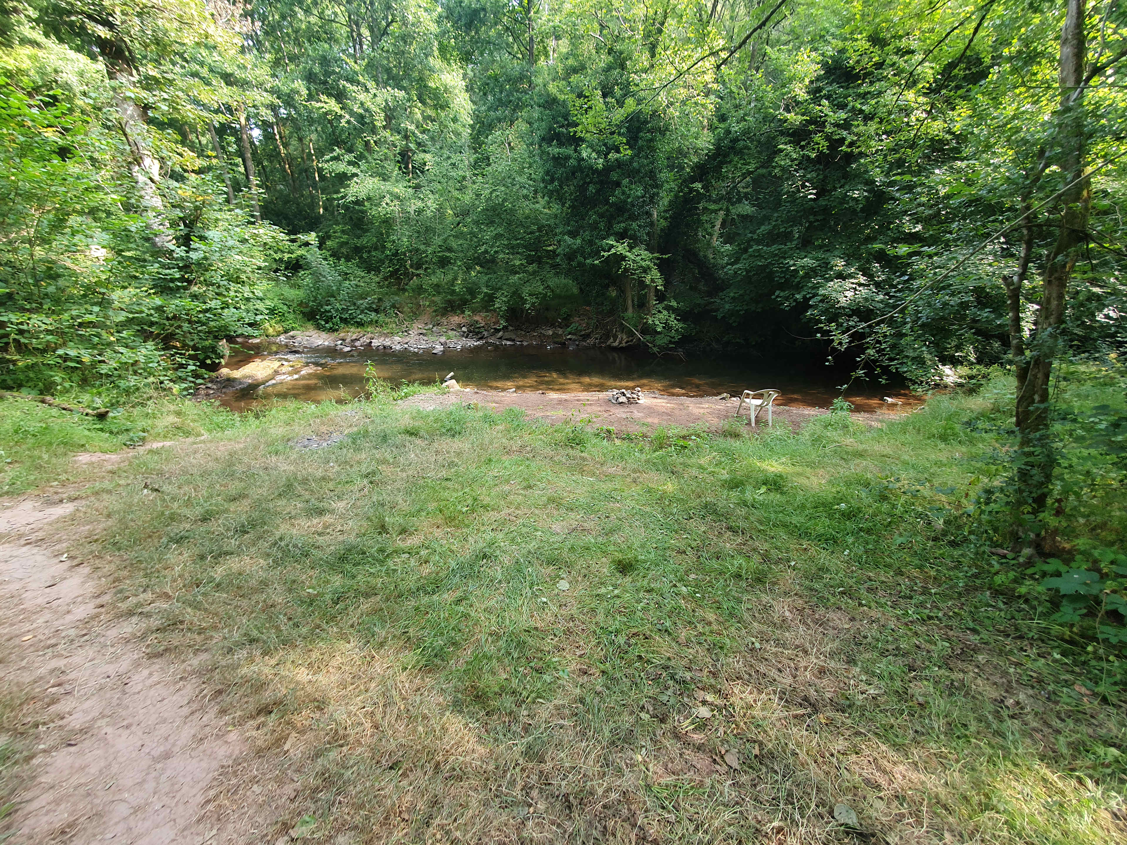 Pytingwyn Woods